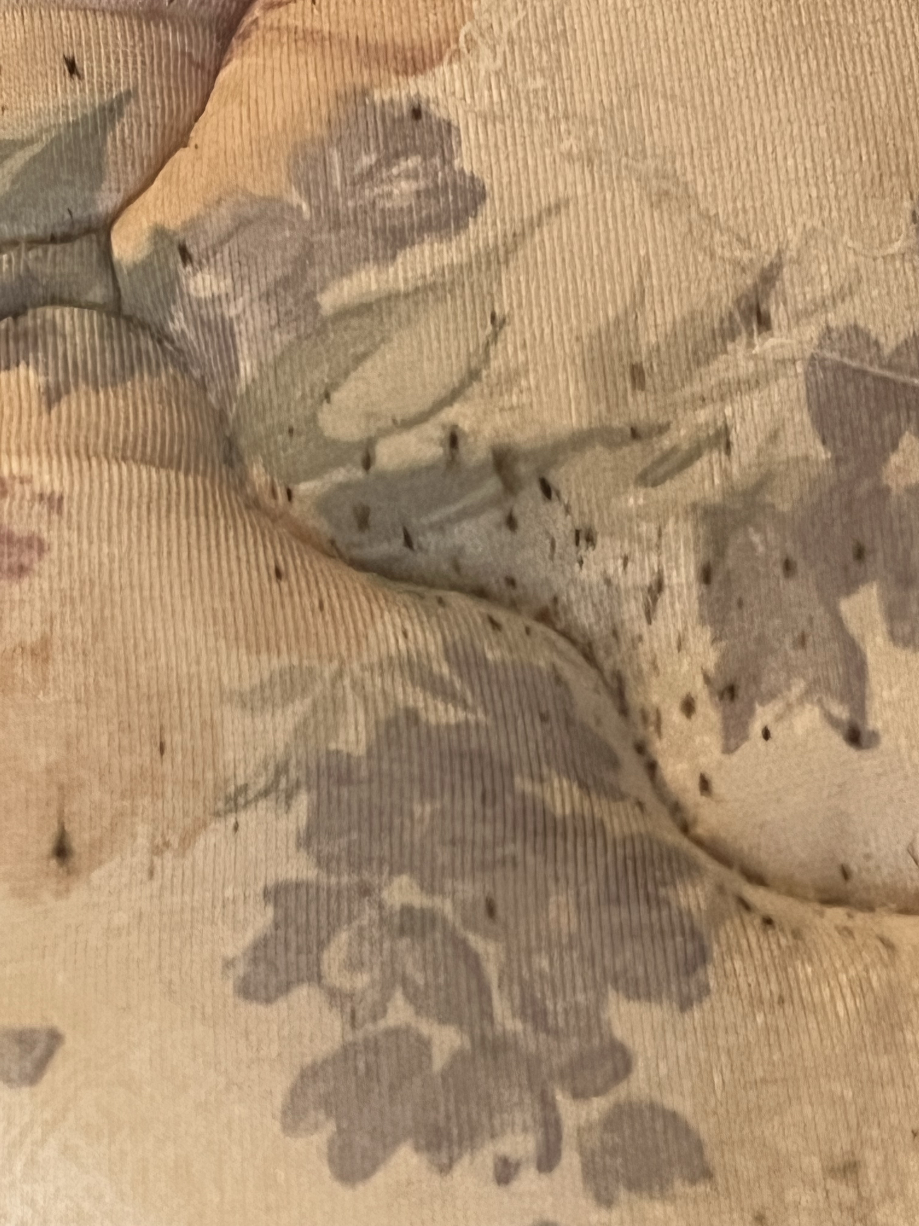 Bed bug service in Cookeville, TN photo 2