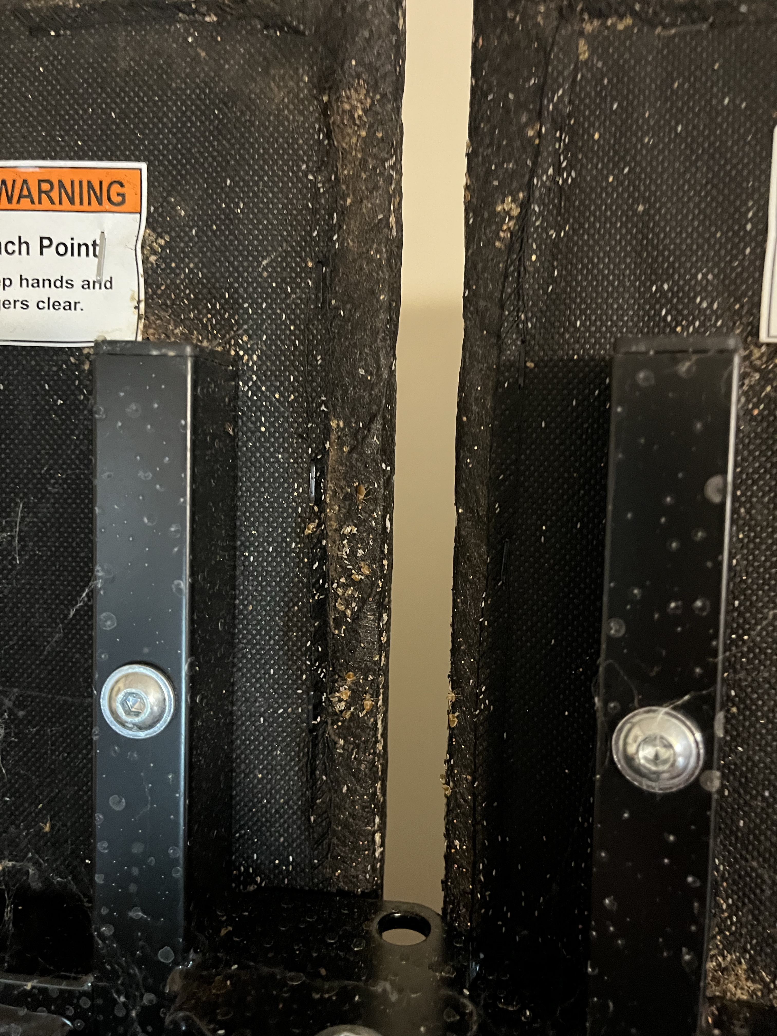 Bed bug service in Watertown, TN photo 3