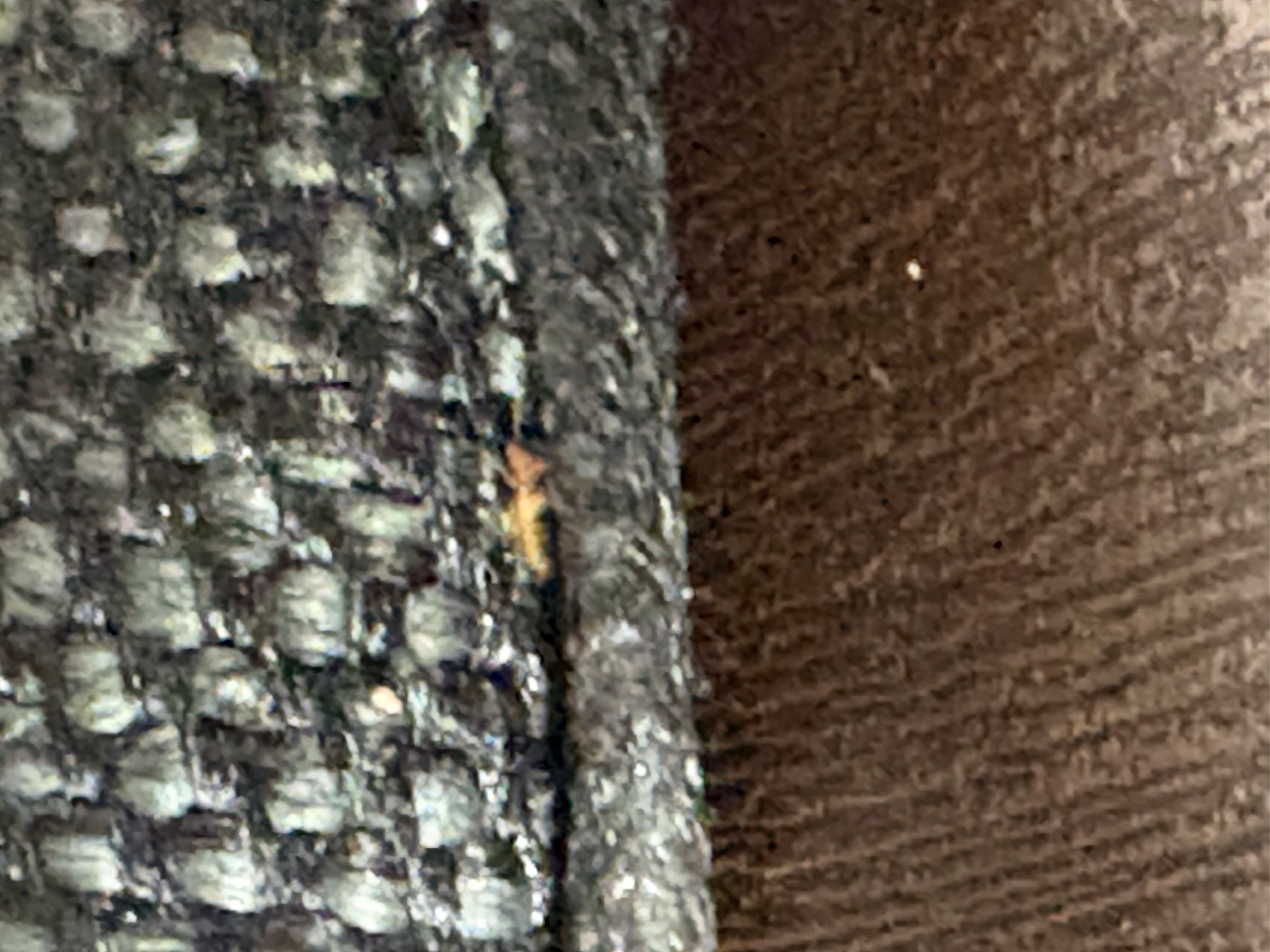 Bed bug service in Nashville, TN photo 2