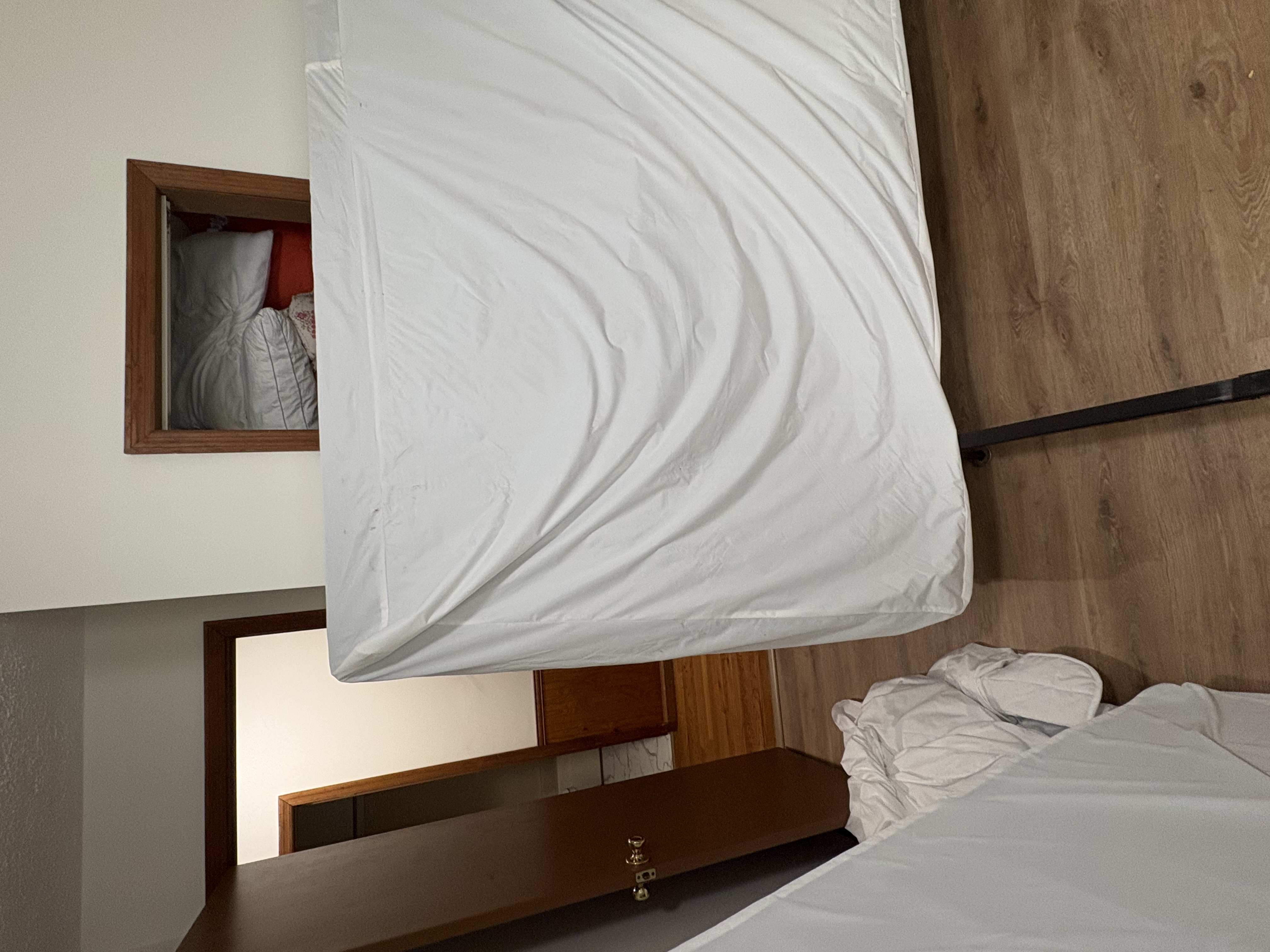 Bed bug service in Pelham, TN photo 2