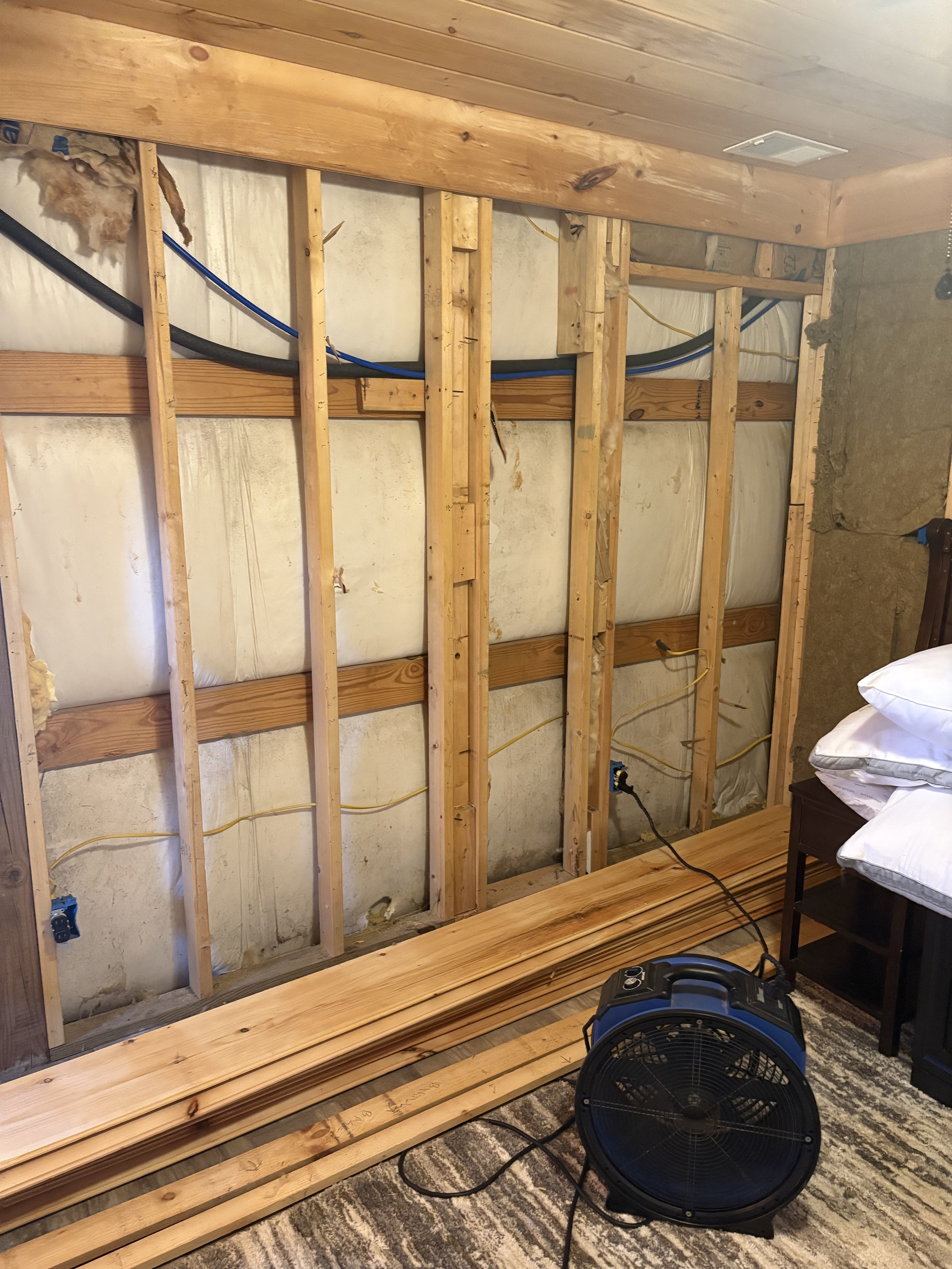 Bed bug service in Manchester, TN main photo