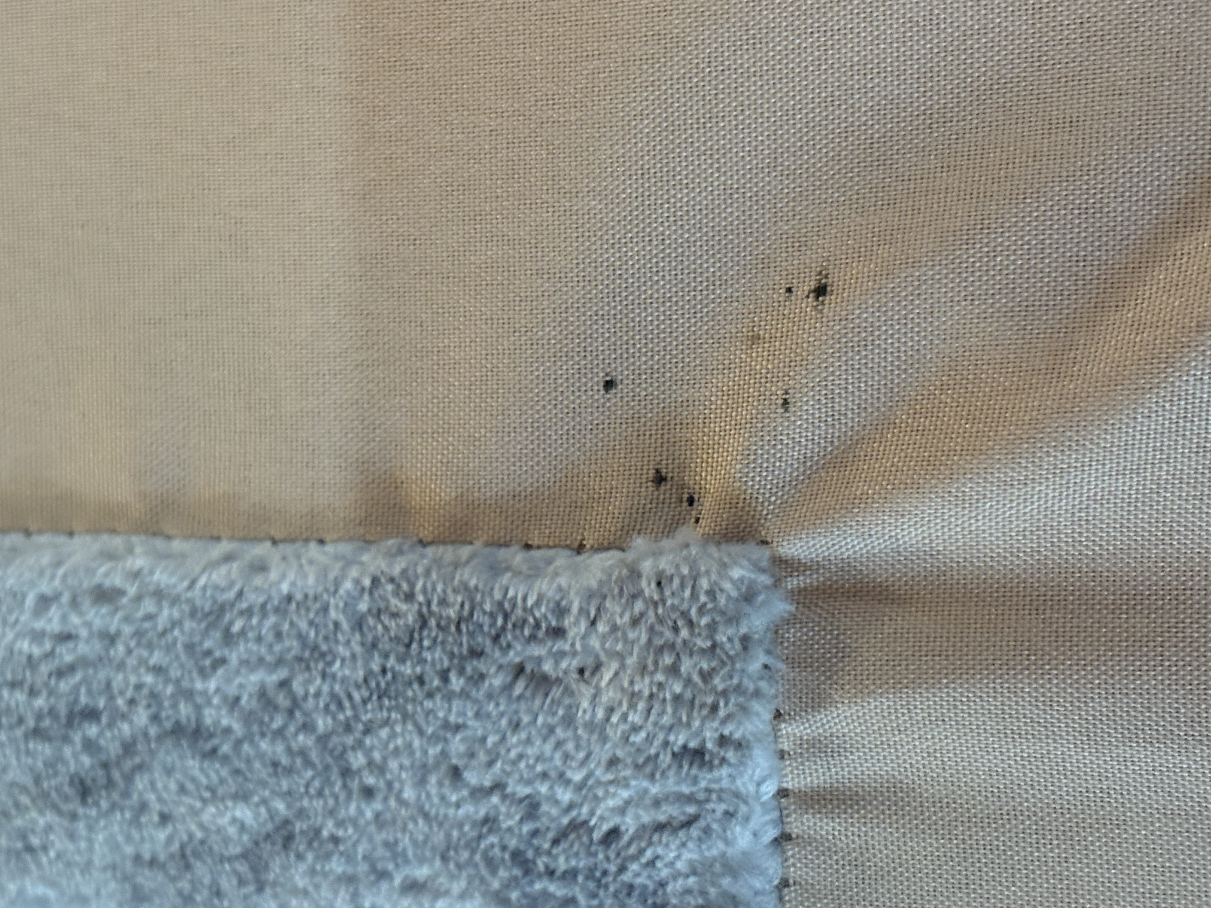 Bed bug service in Manchester, TN photo 2