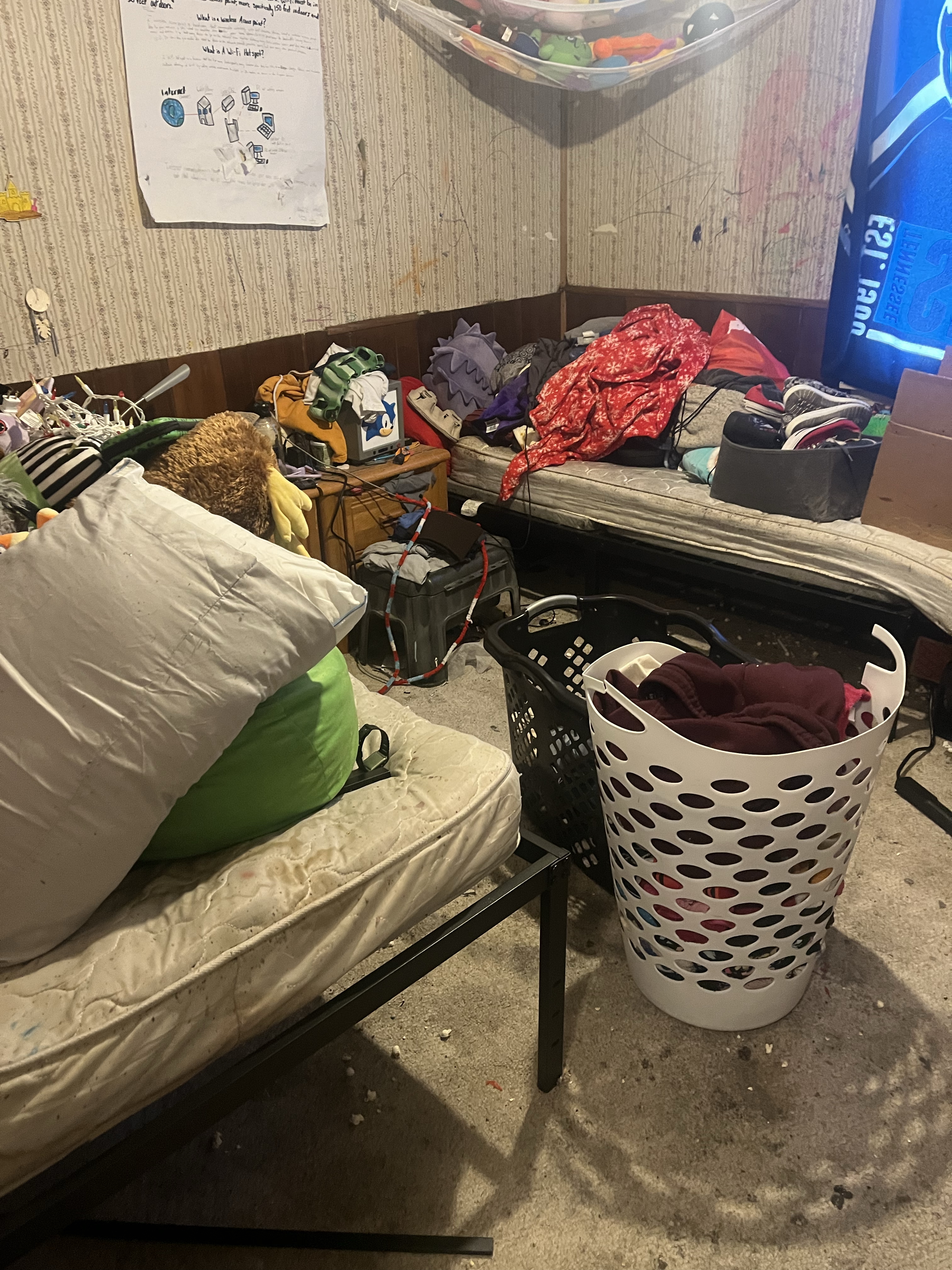 Bed bug service in Old Hickory, TN photo 4