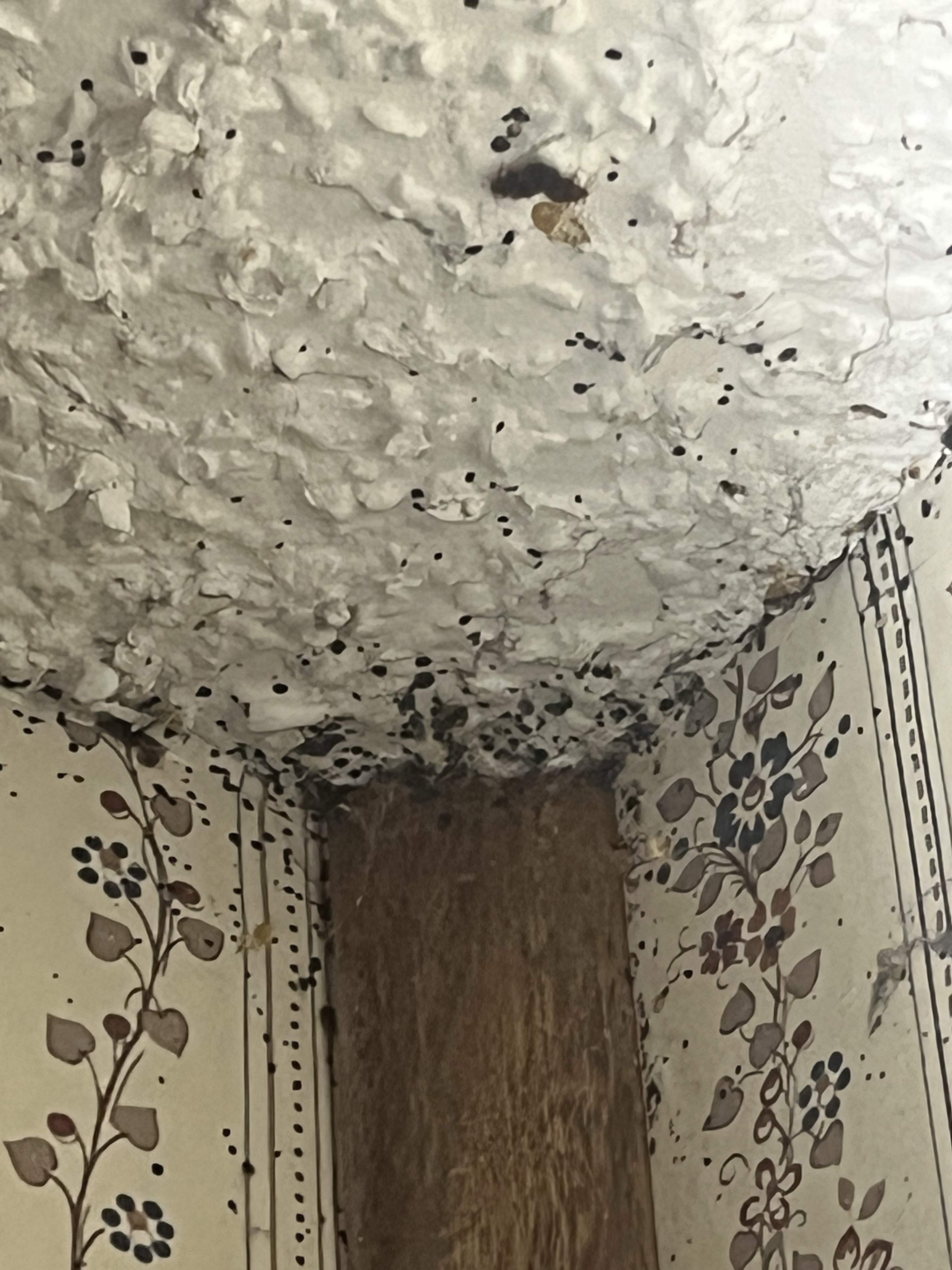 Bed bug service in Old Hickory, TN photo 6