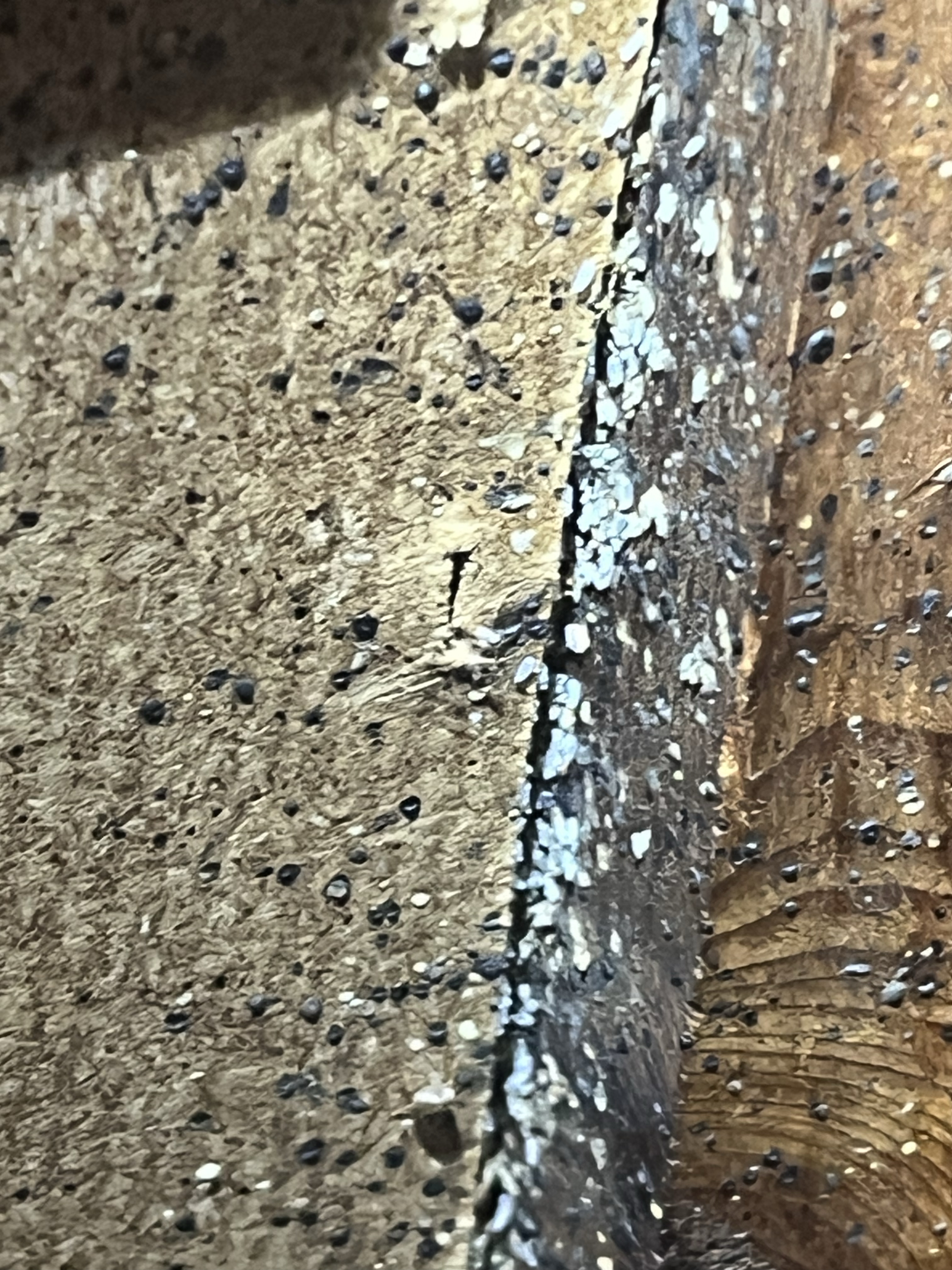 Bed bug service in Old Hickory, TN photo 7