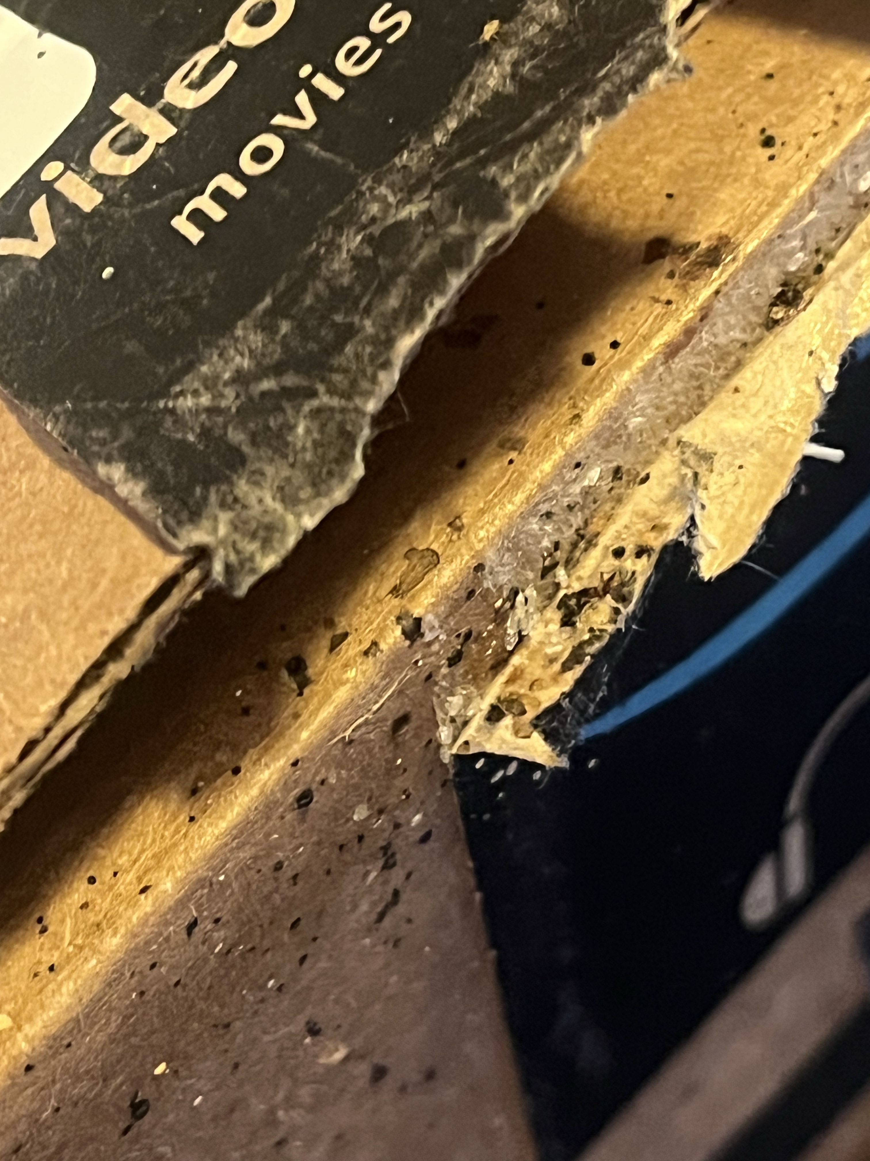 Bed bug service in Old Hickory, TN photo 9