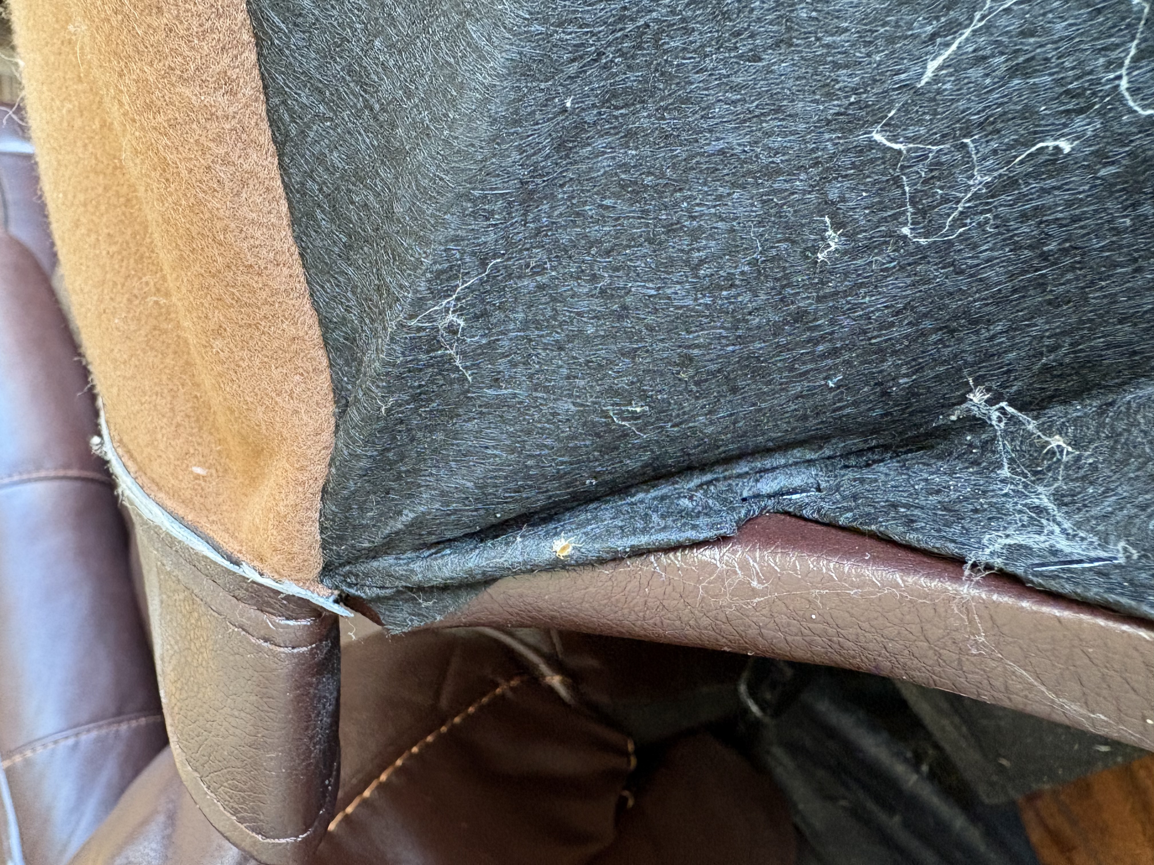 Bed bug service in Tullahoma, TN photo 12