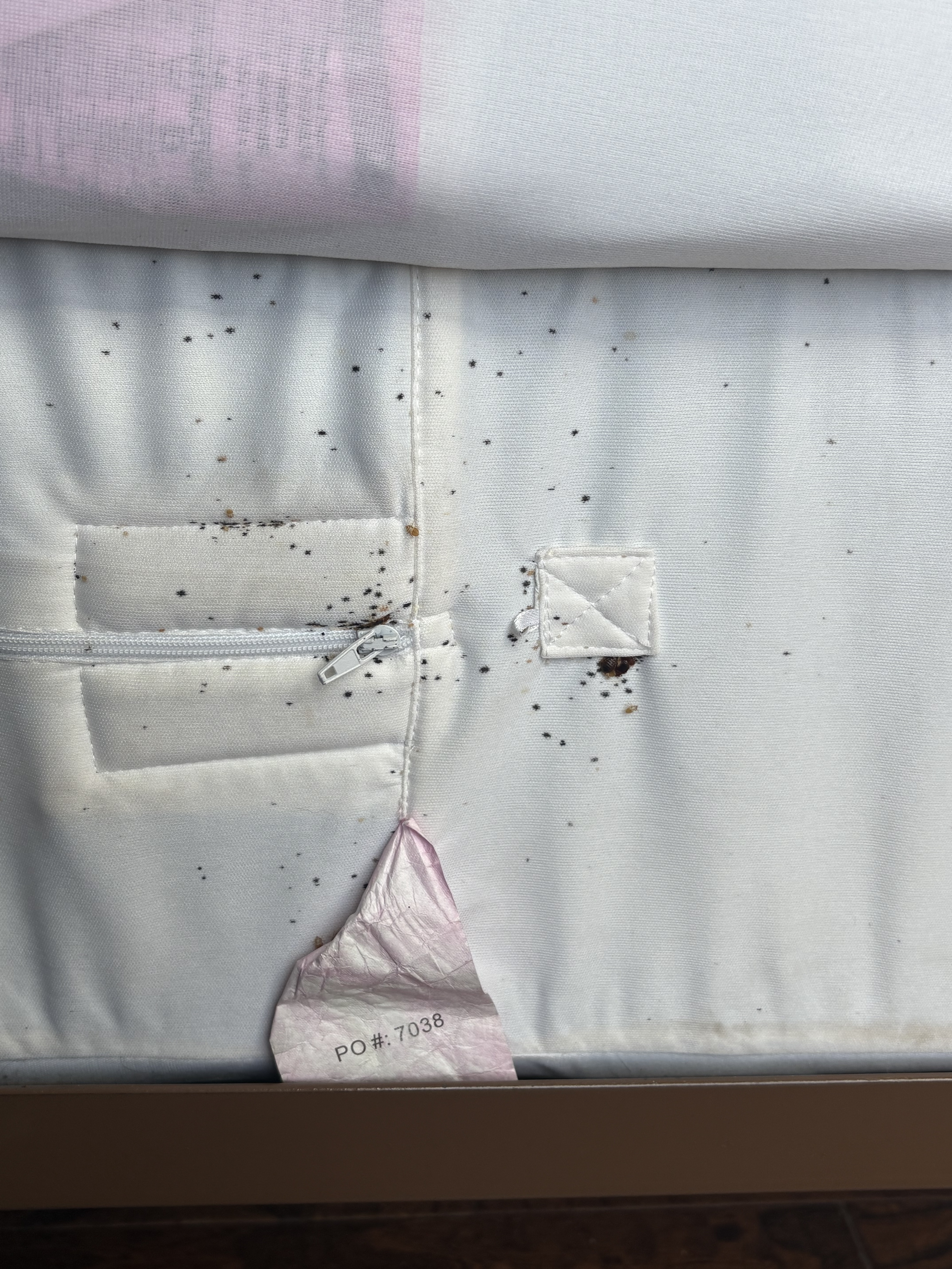 Bed bug service in Tullahoma, TN photo 2