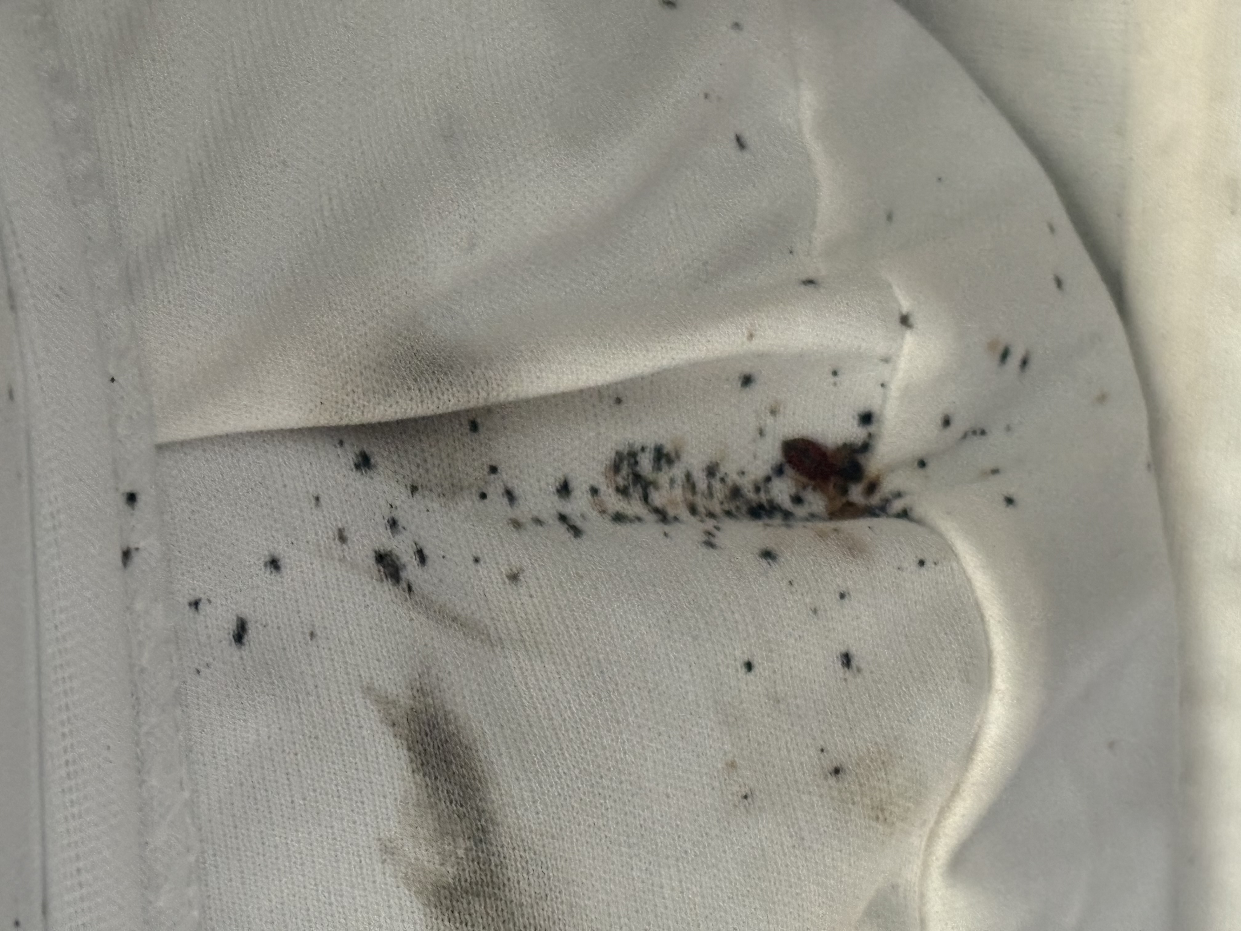 Bed bug service in Tullahoma, TN photo 3