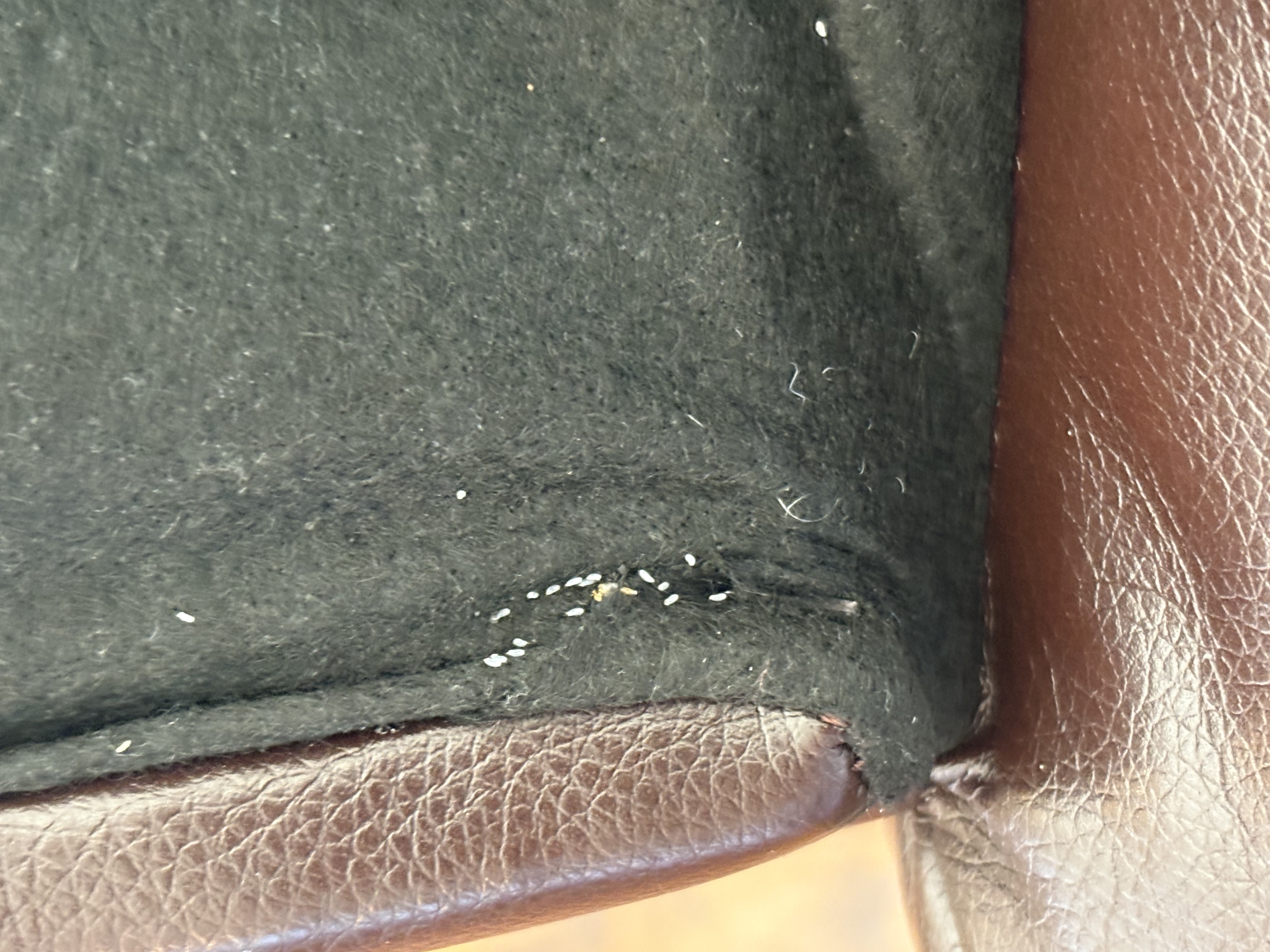 Bed bug service in Tullahoma, TN photo 6