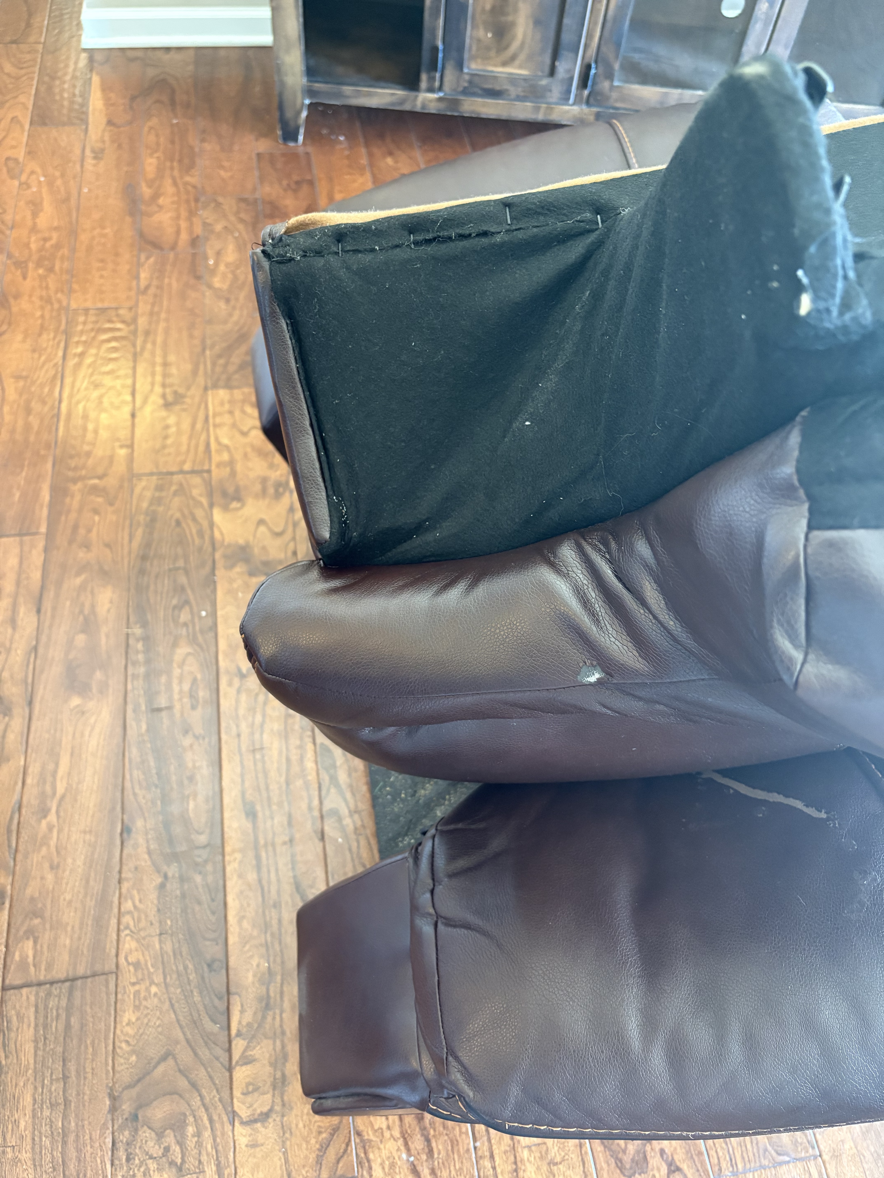 Bed bug service in Tullahoma, TN photo 9