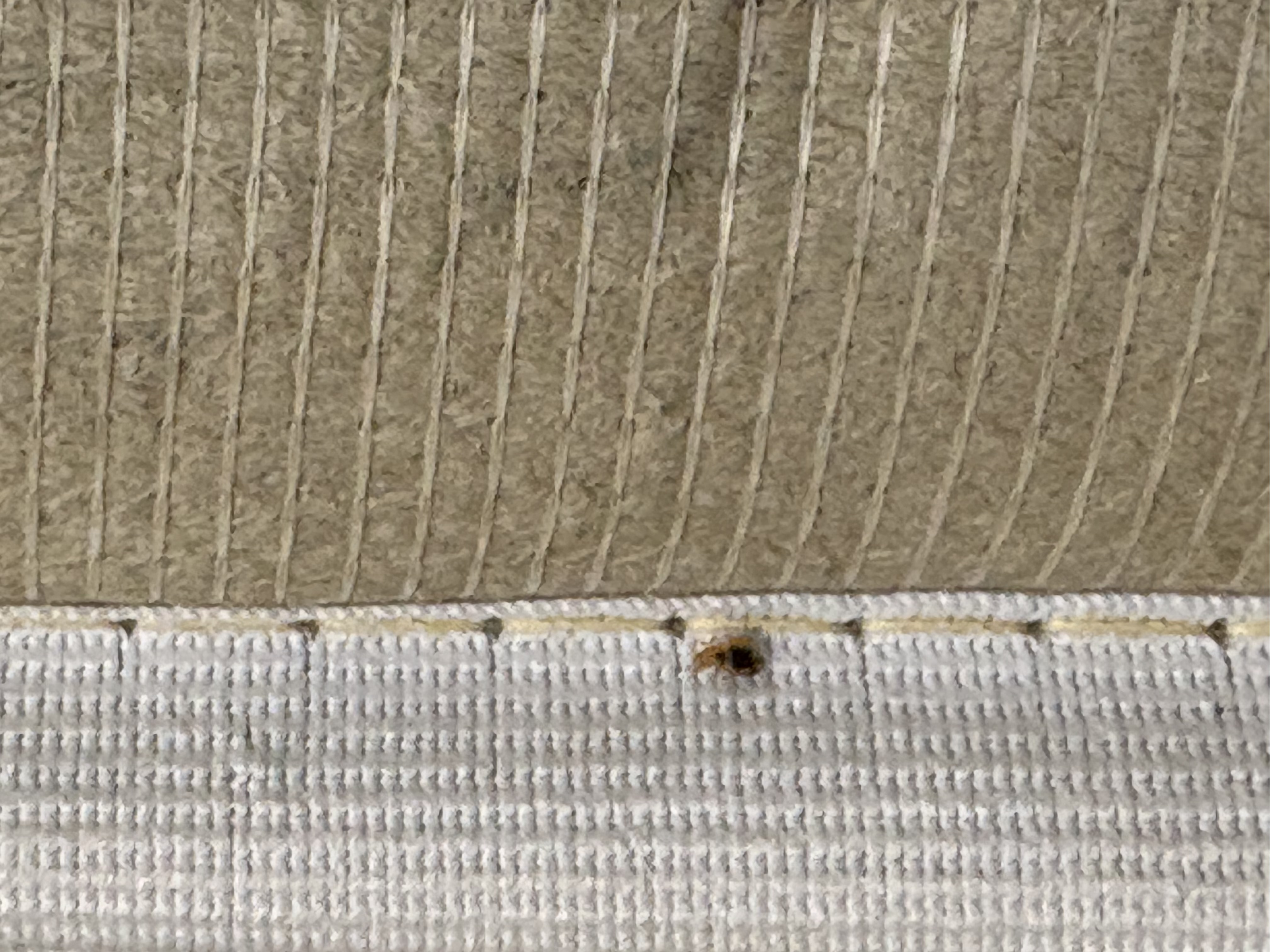 Bed bug service in Shelbyville, TN main photo