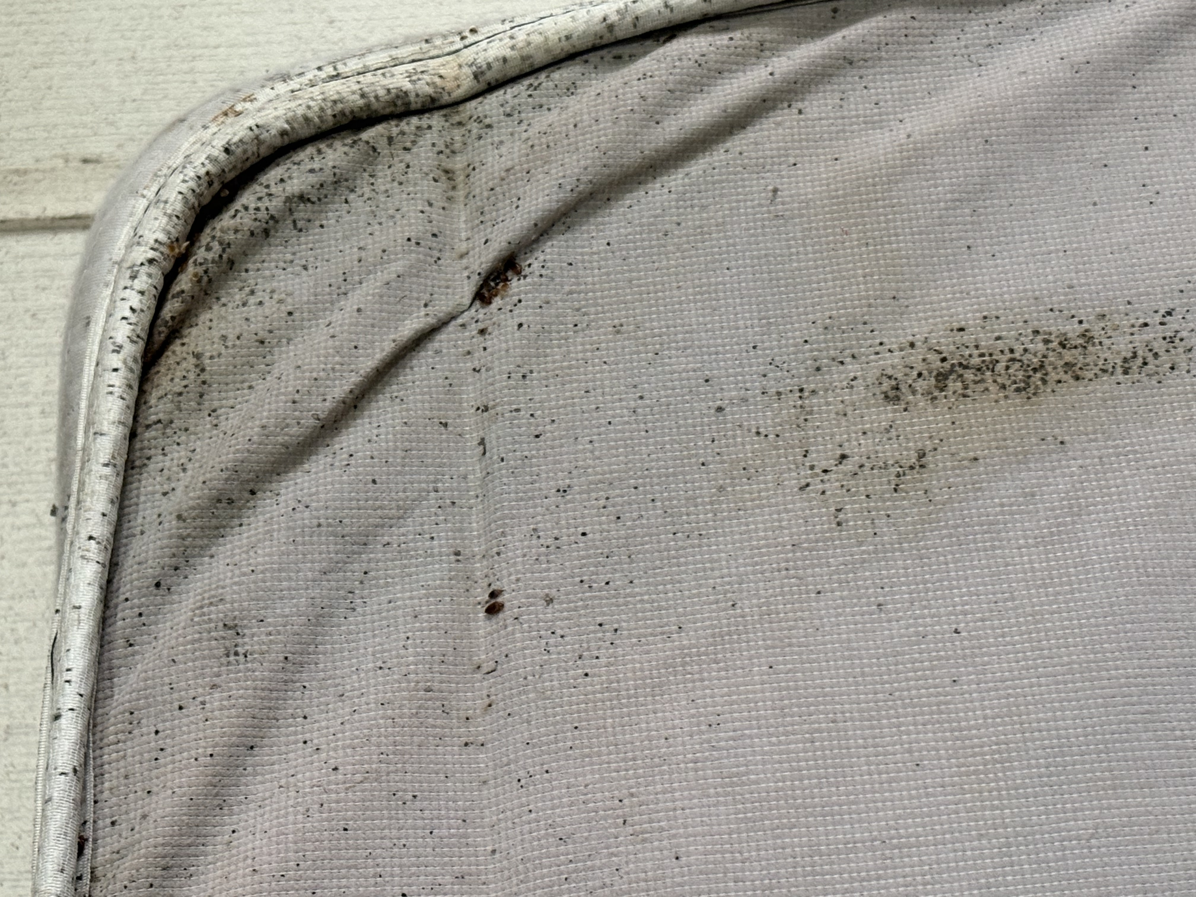 Bed bug service in Shelbyville, TN photo 2