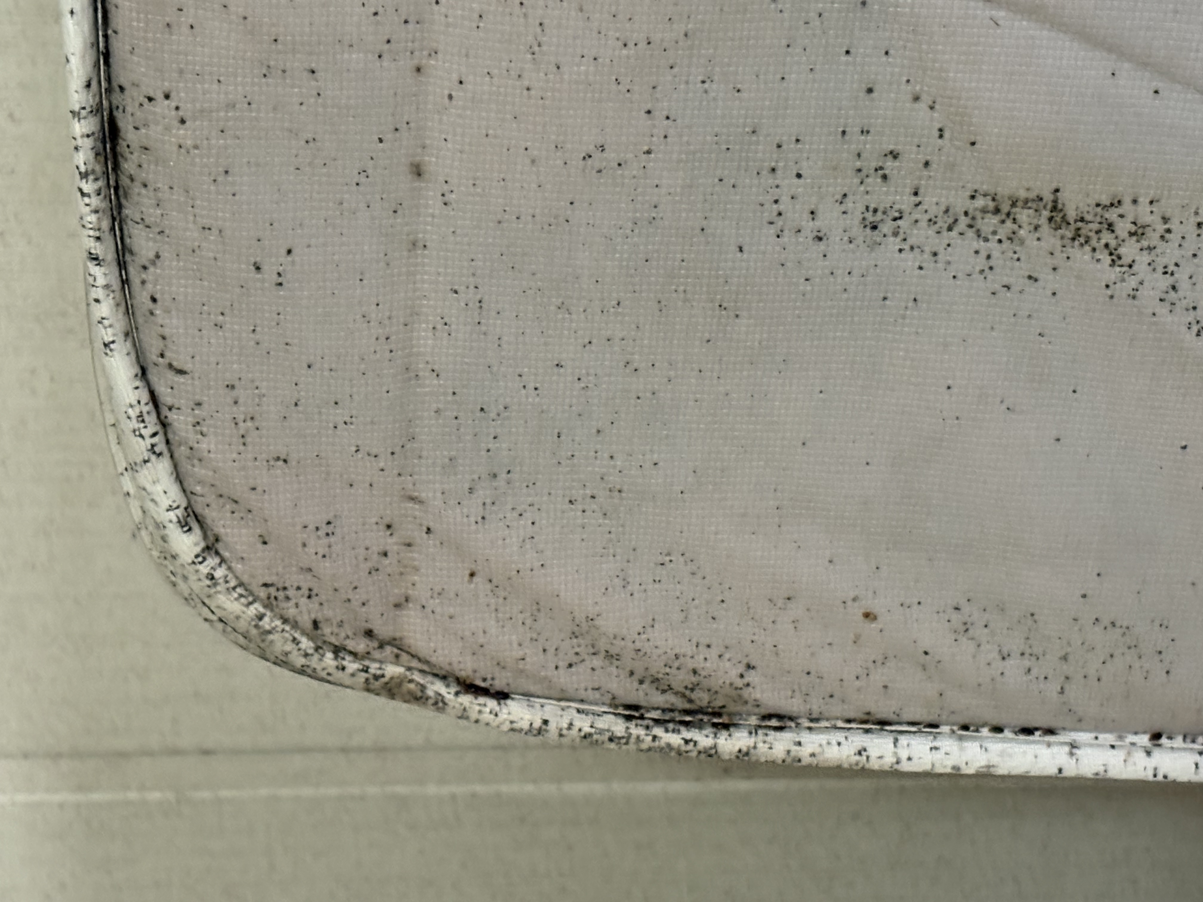 Bed bug service in Shelbyville, TN photo 3