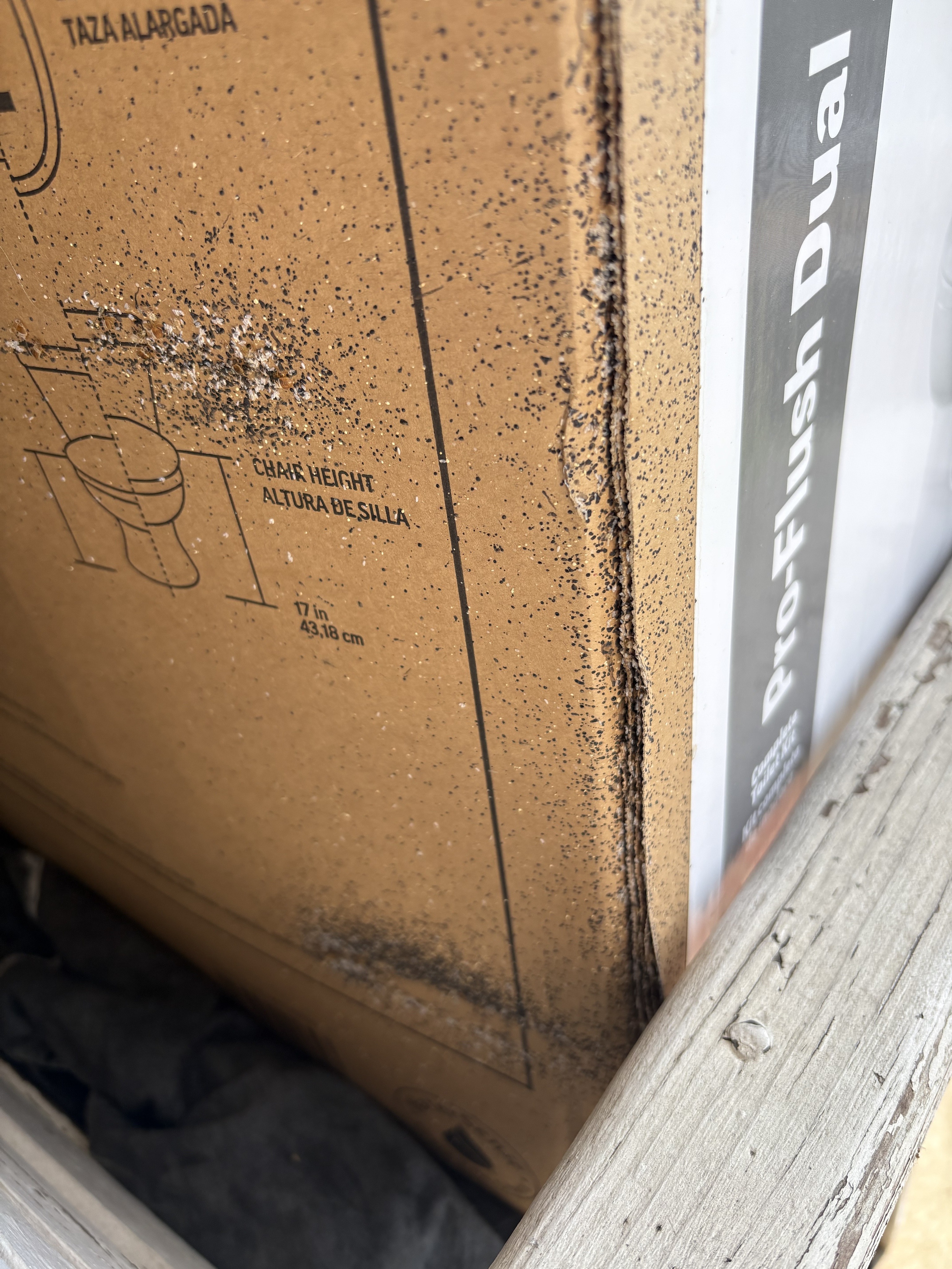 Bed bug service in Shelbyville, TN photo 6