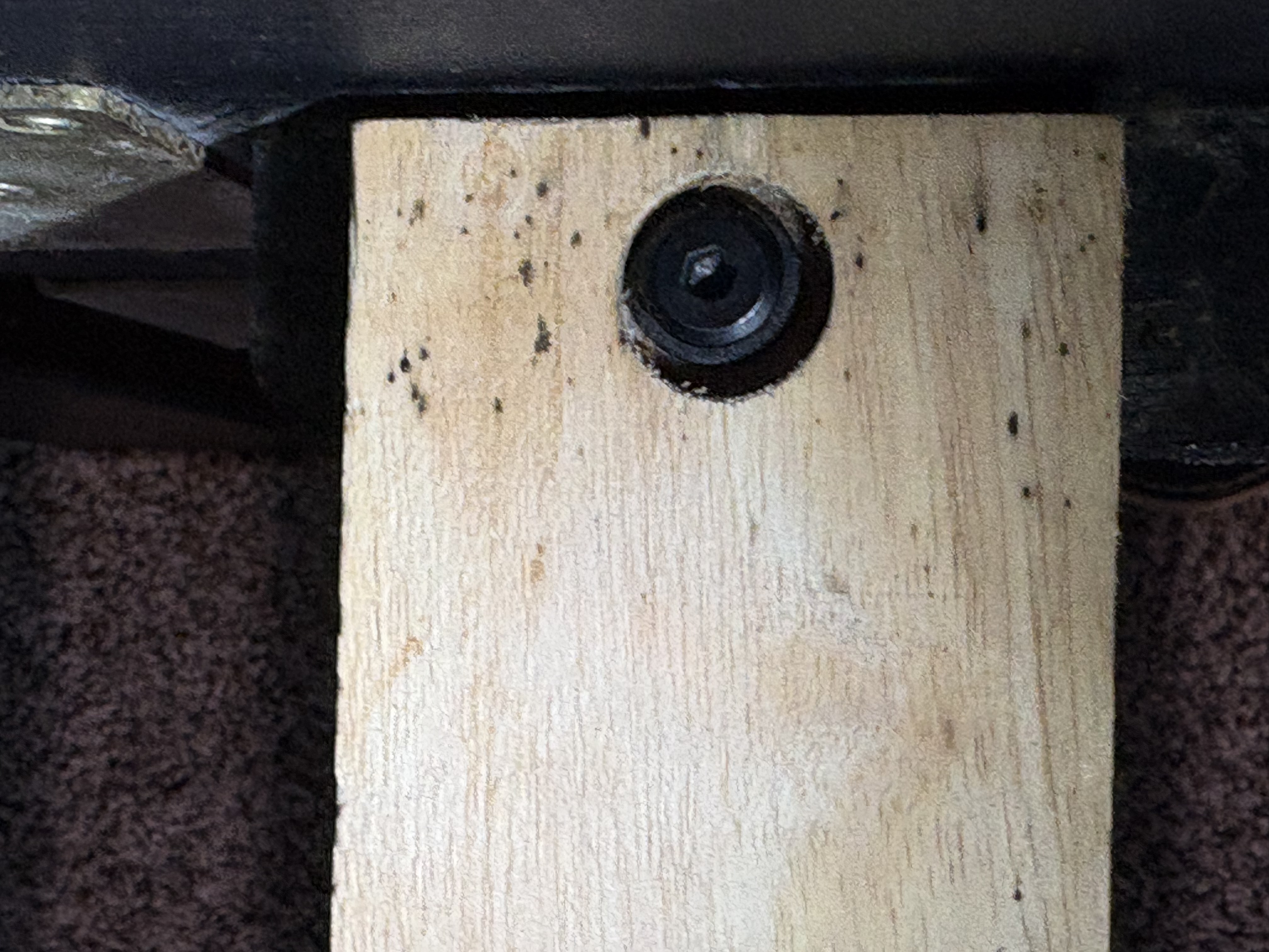 Bed bug service in Westmoreland, TN photo 4