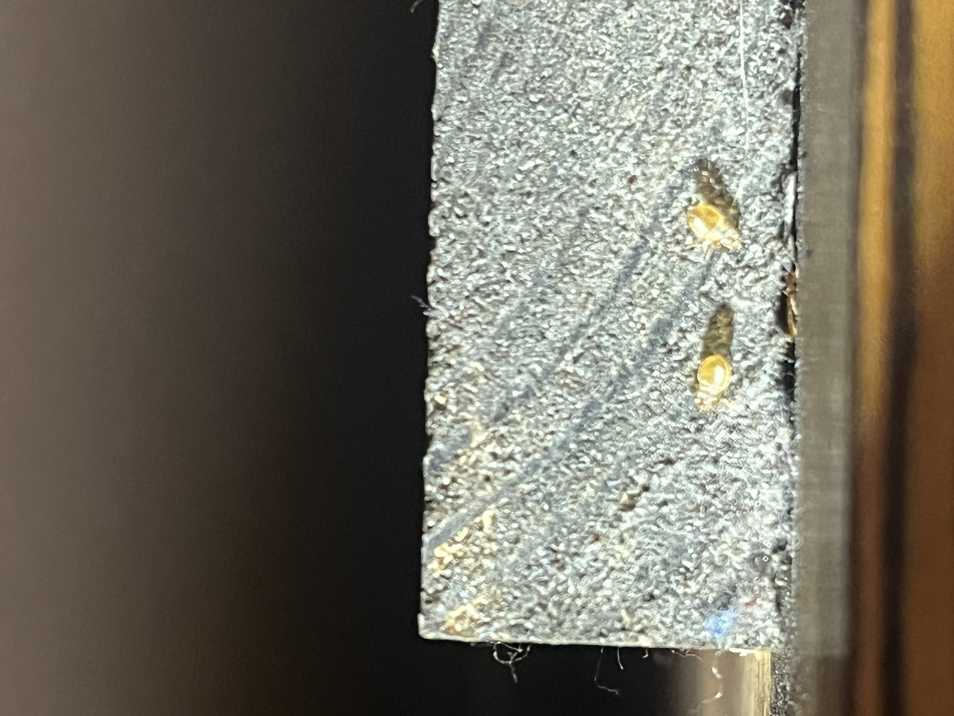 Bed bug service in Lebanon, TN photo 2