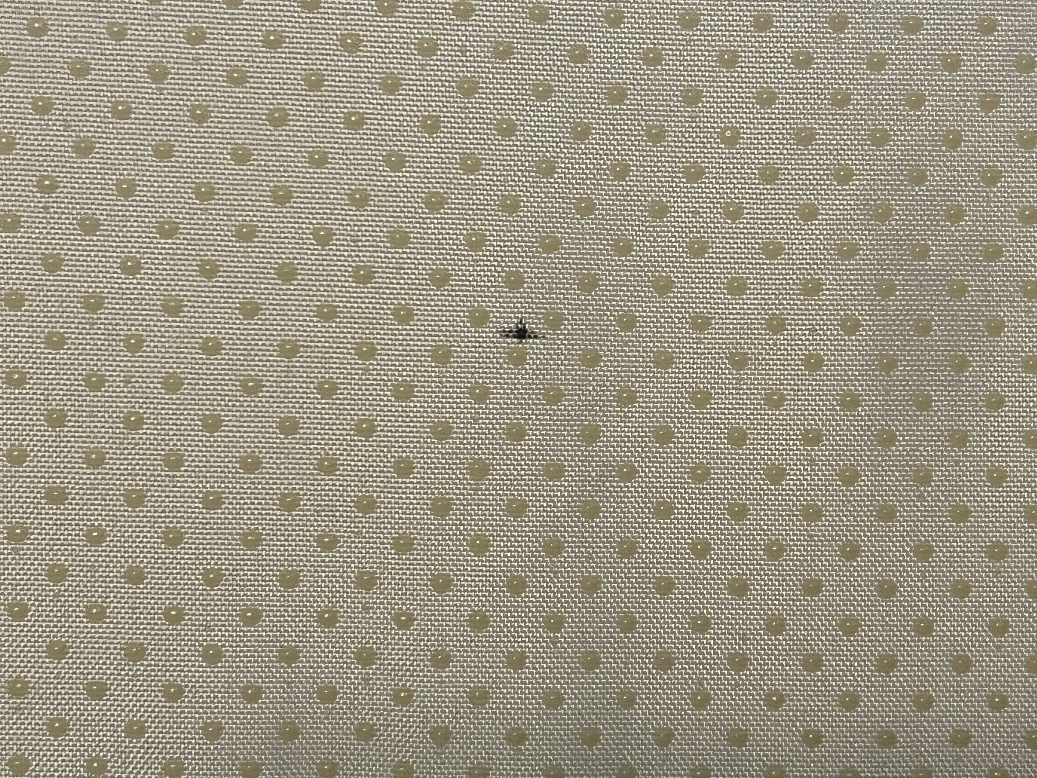 Bed bug service in Lebanon, TN photo 4