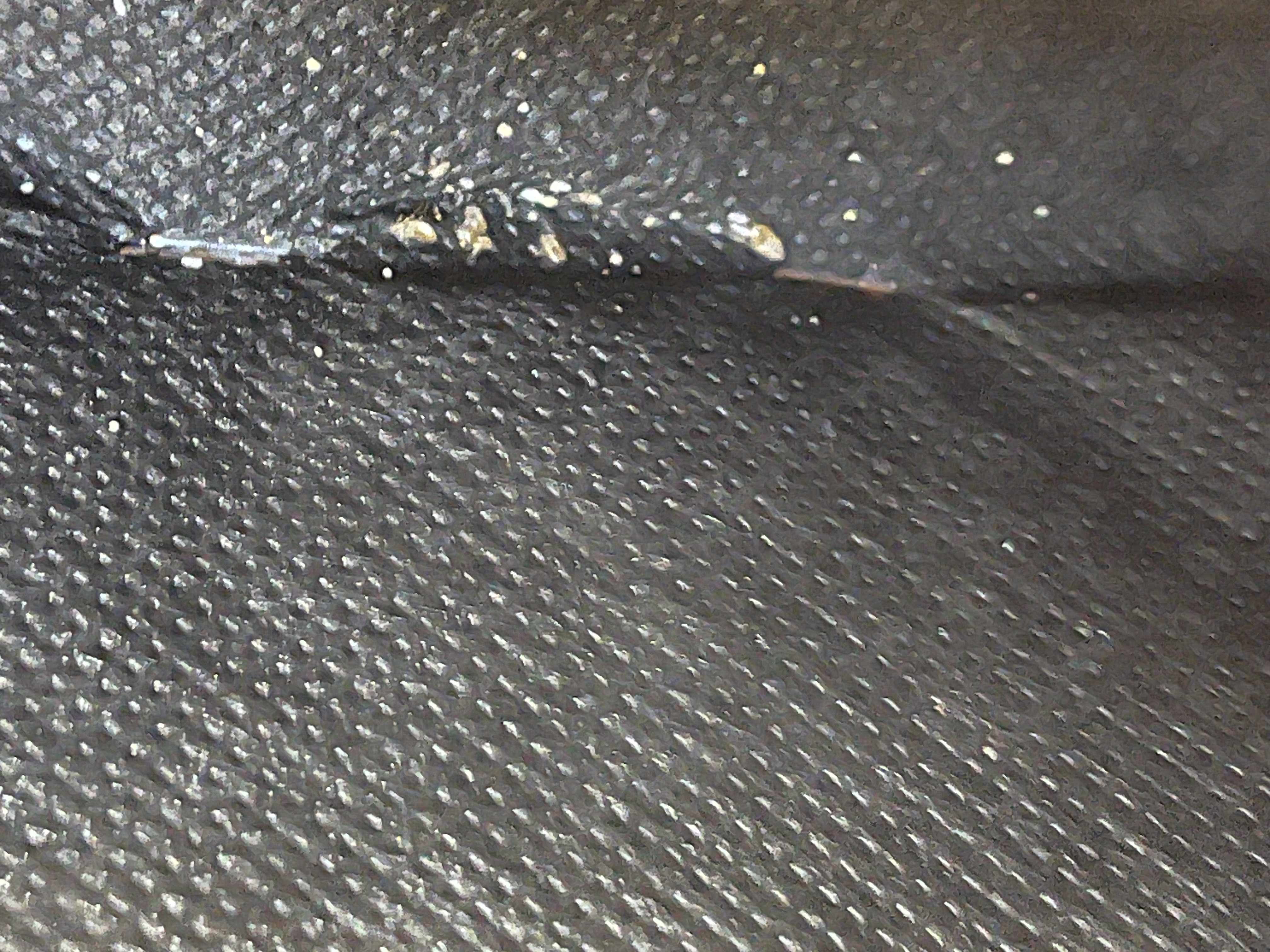 Bed bug service in Lebanon, TN photo 5