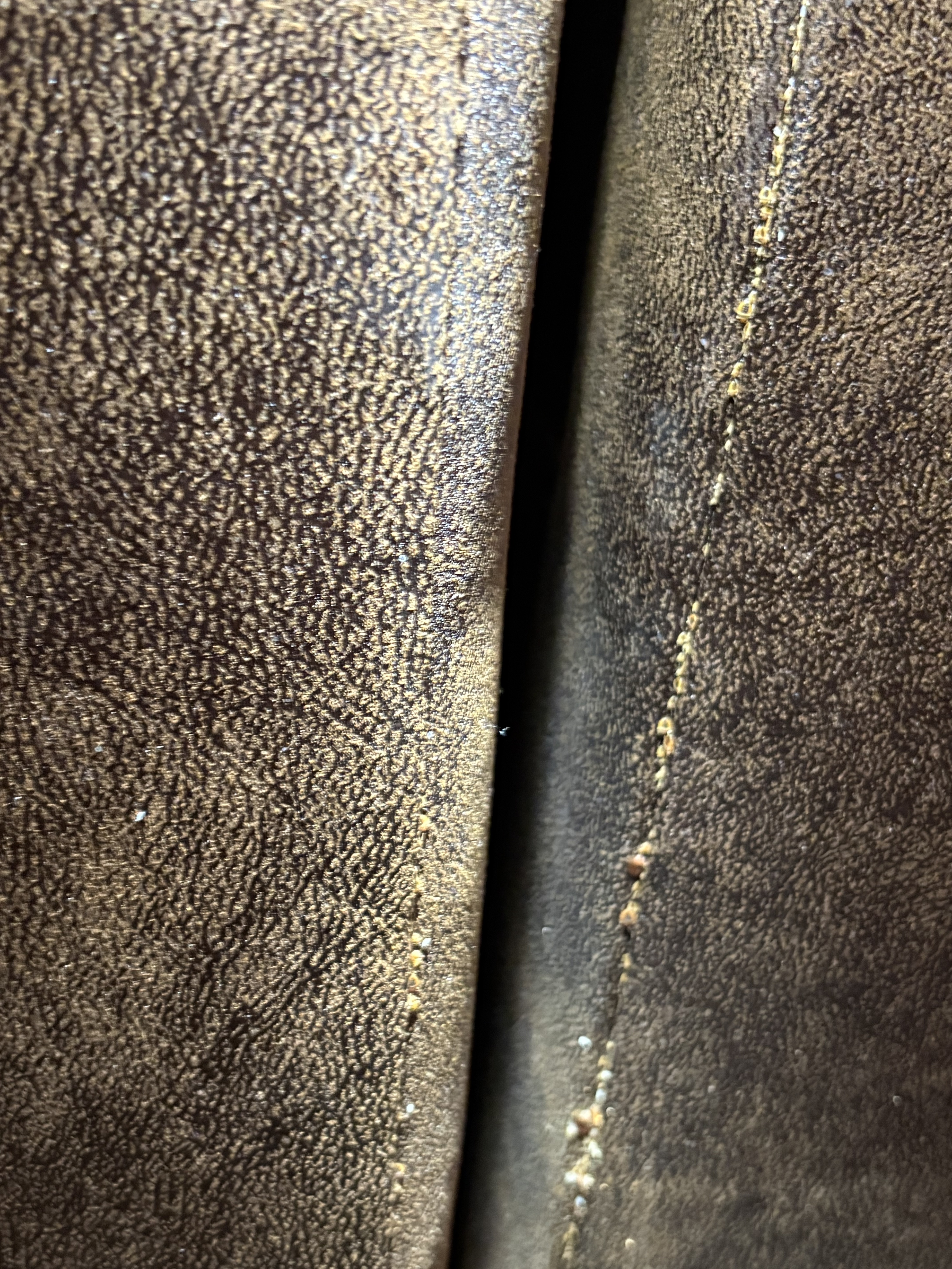 Bed bug service in Gruetli-Laager, TN photo 5
