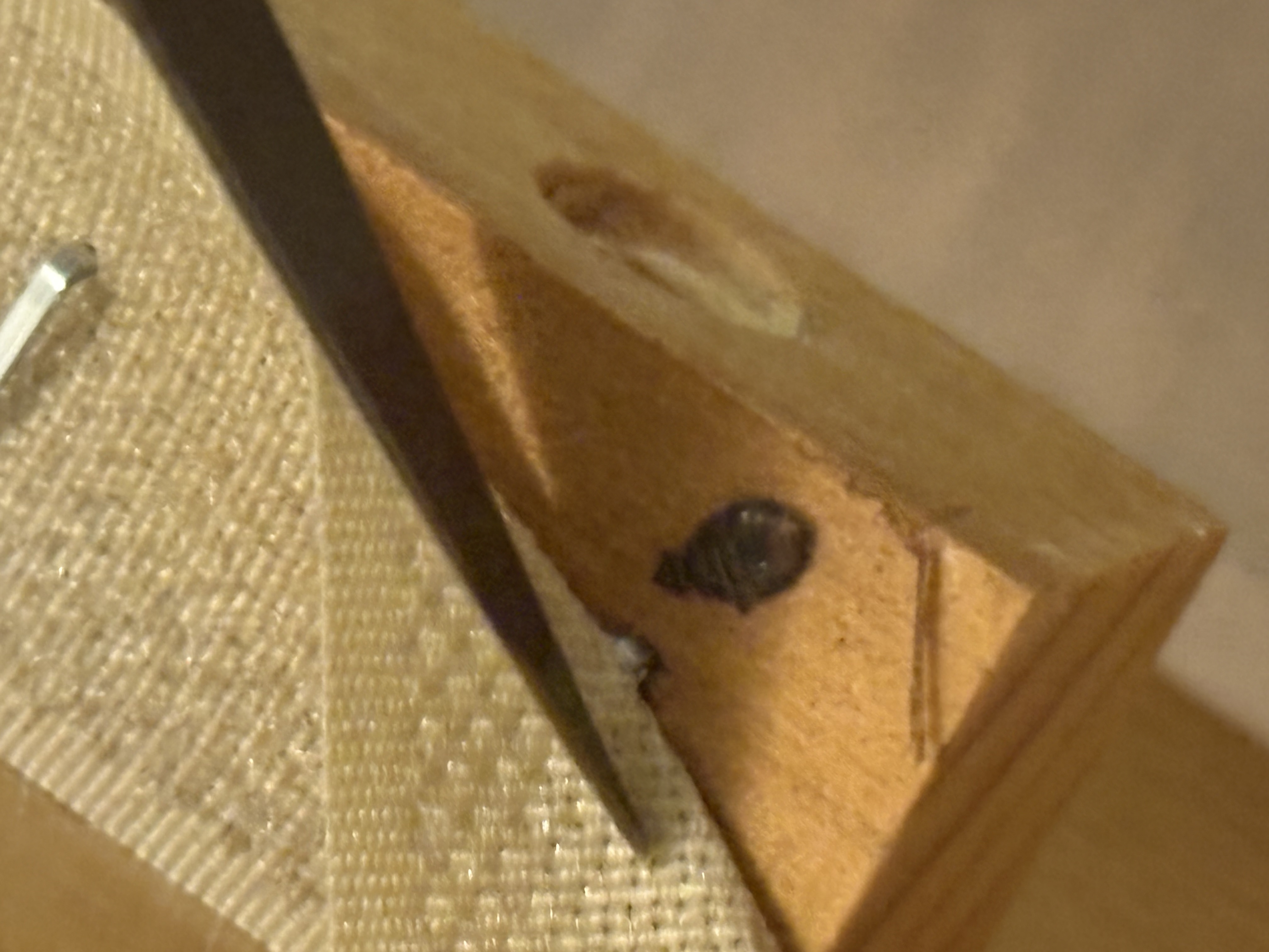 Bed bug service in Murfreesboro, TN photo 1