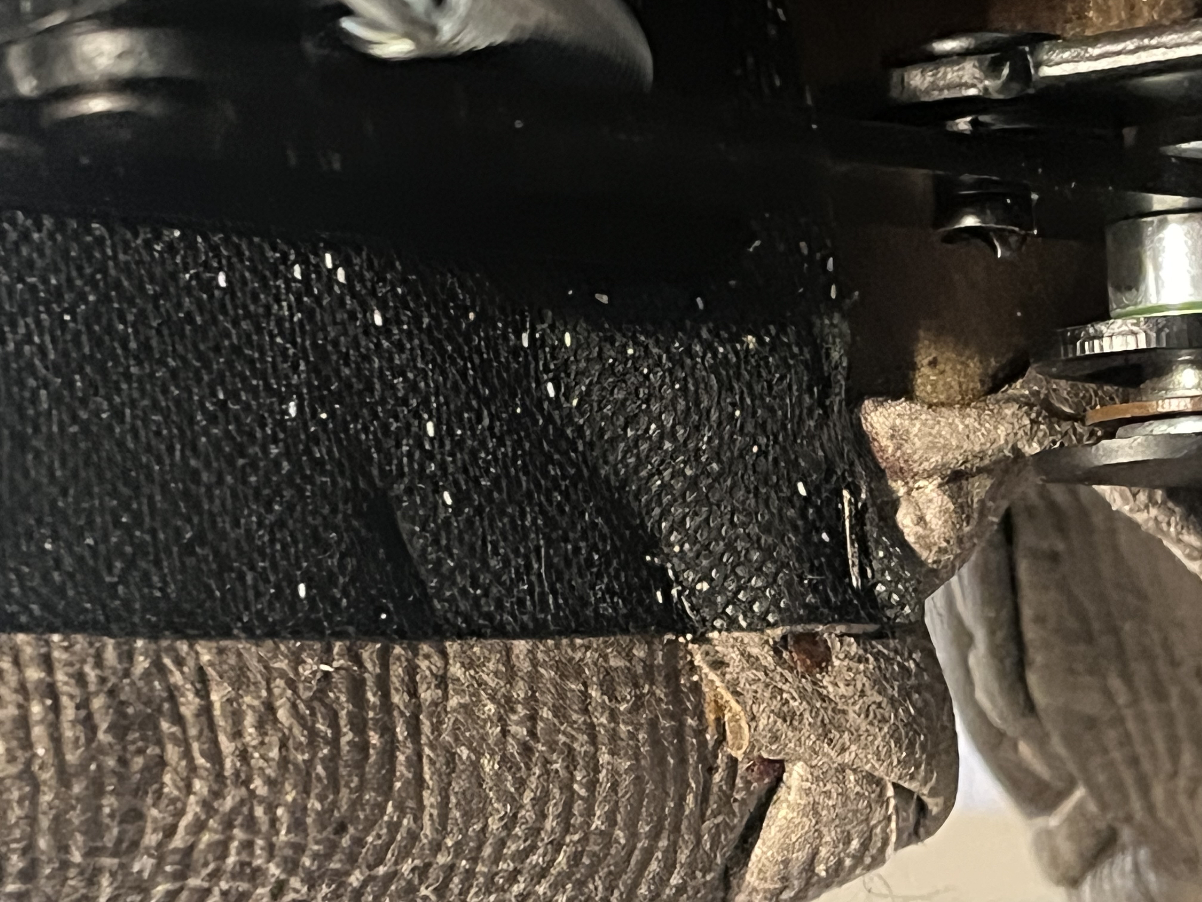 Bed bug service in Portland, TN photo 2