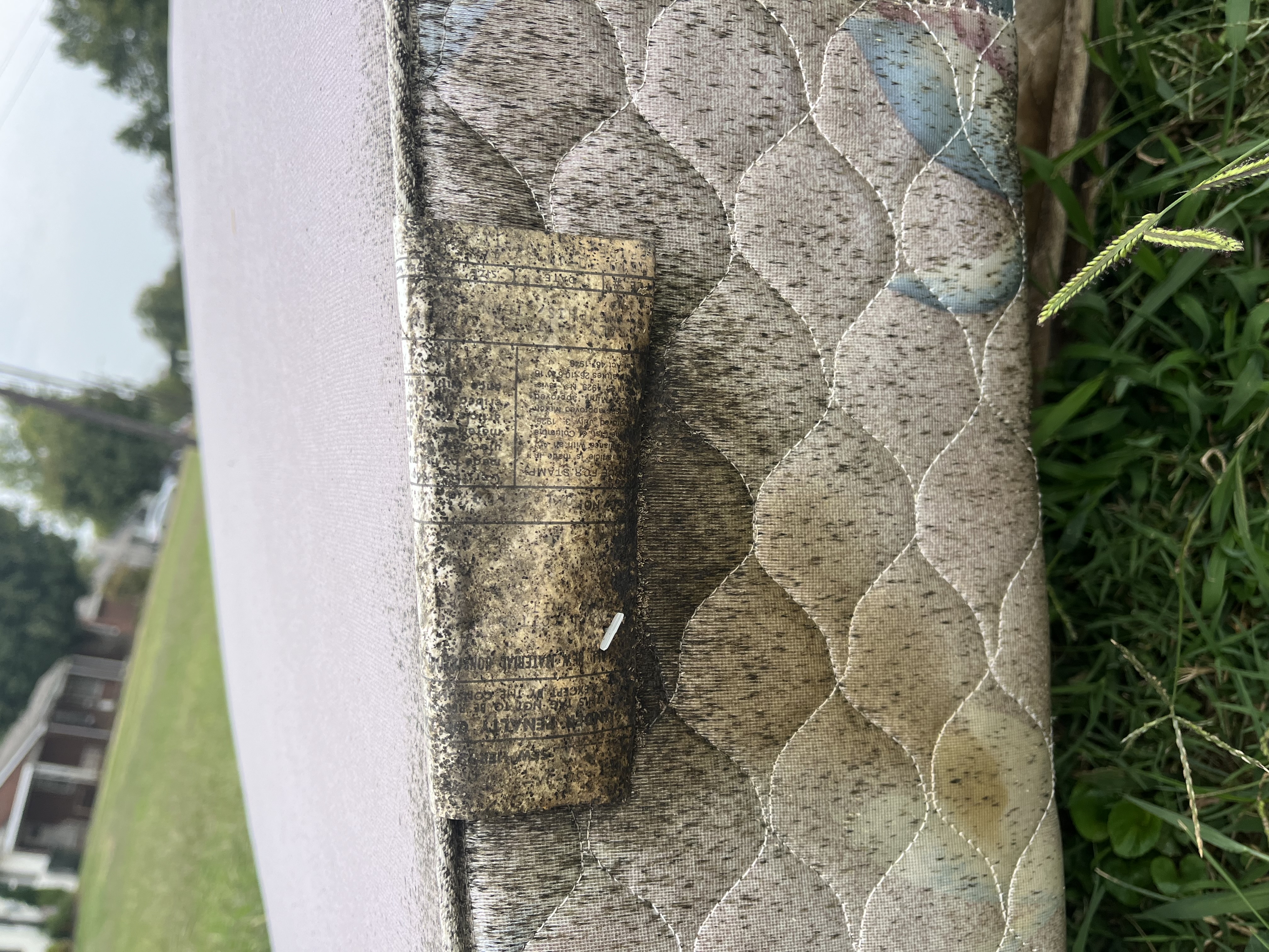 Bed bug service in Gallatin, TN main photo