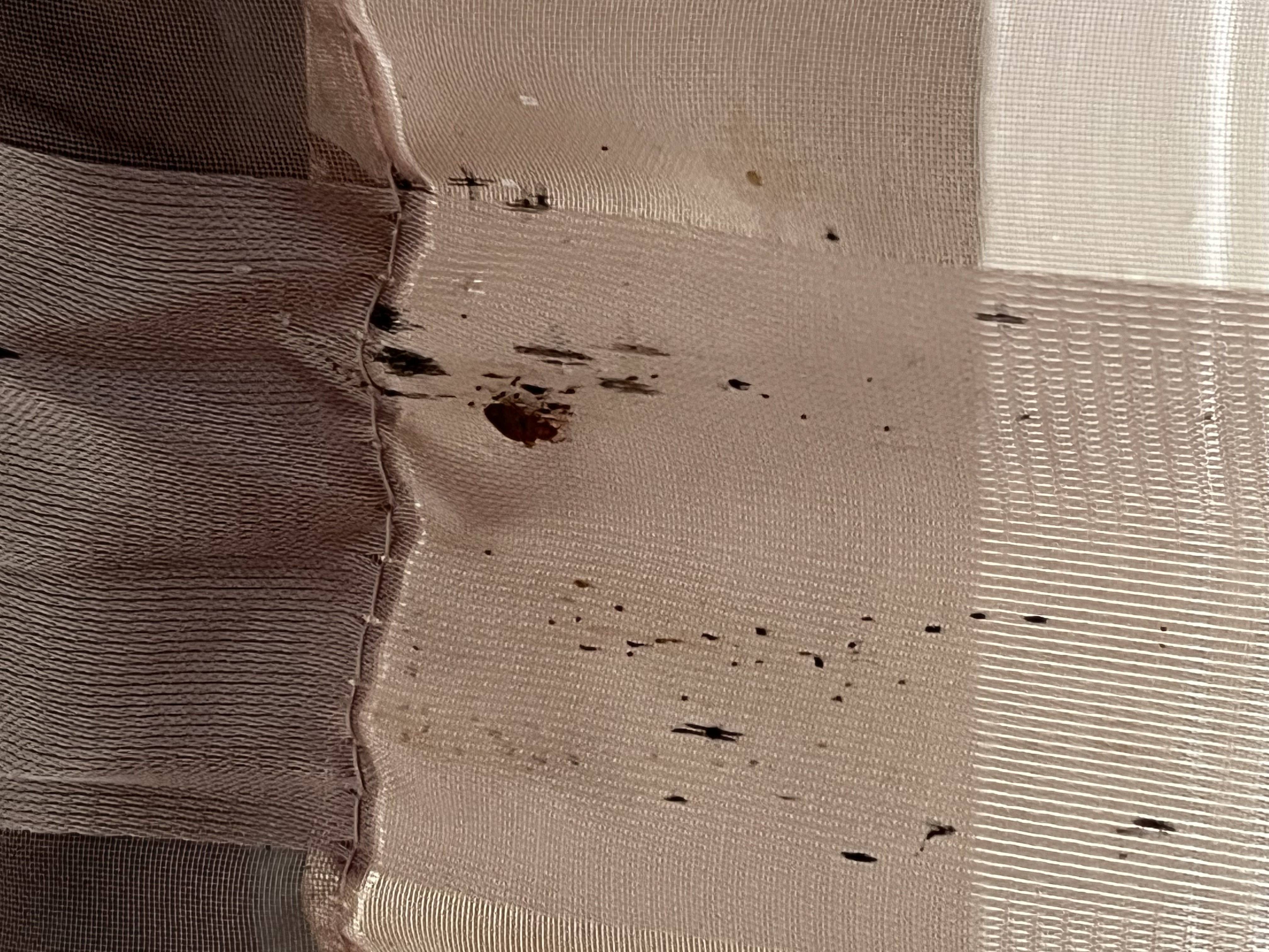 Bed bug service in Gallatin, TN photo 2