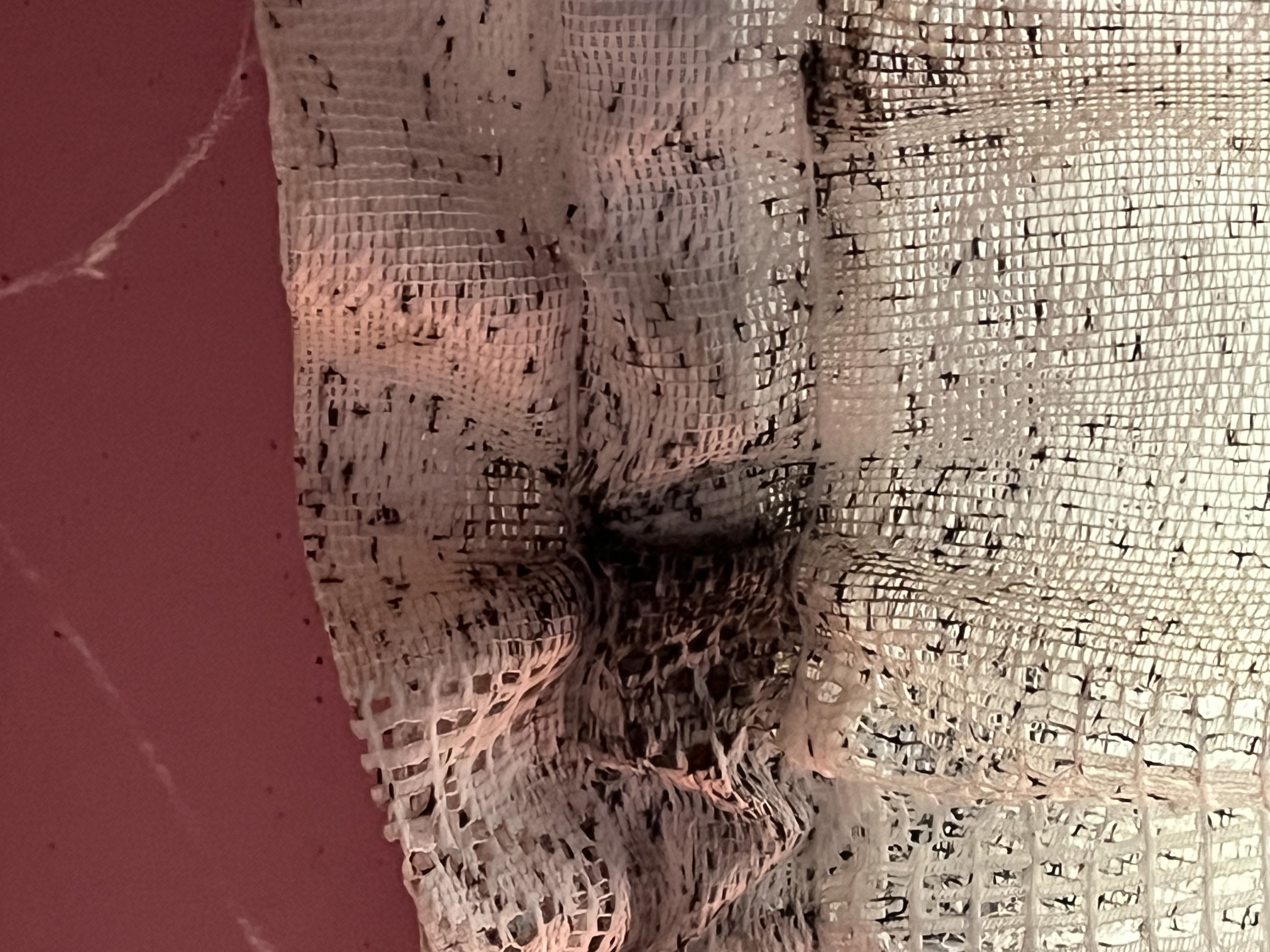 Bed bug service in Gallatin, TN photo 7