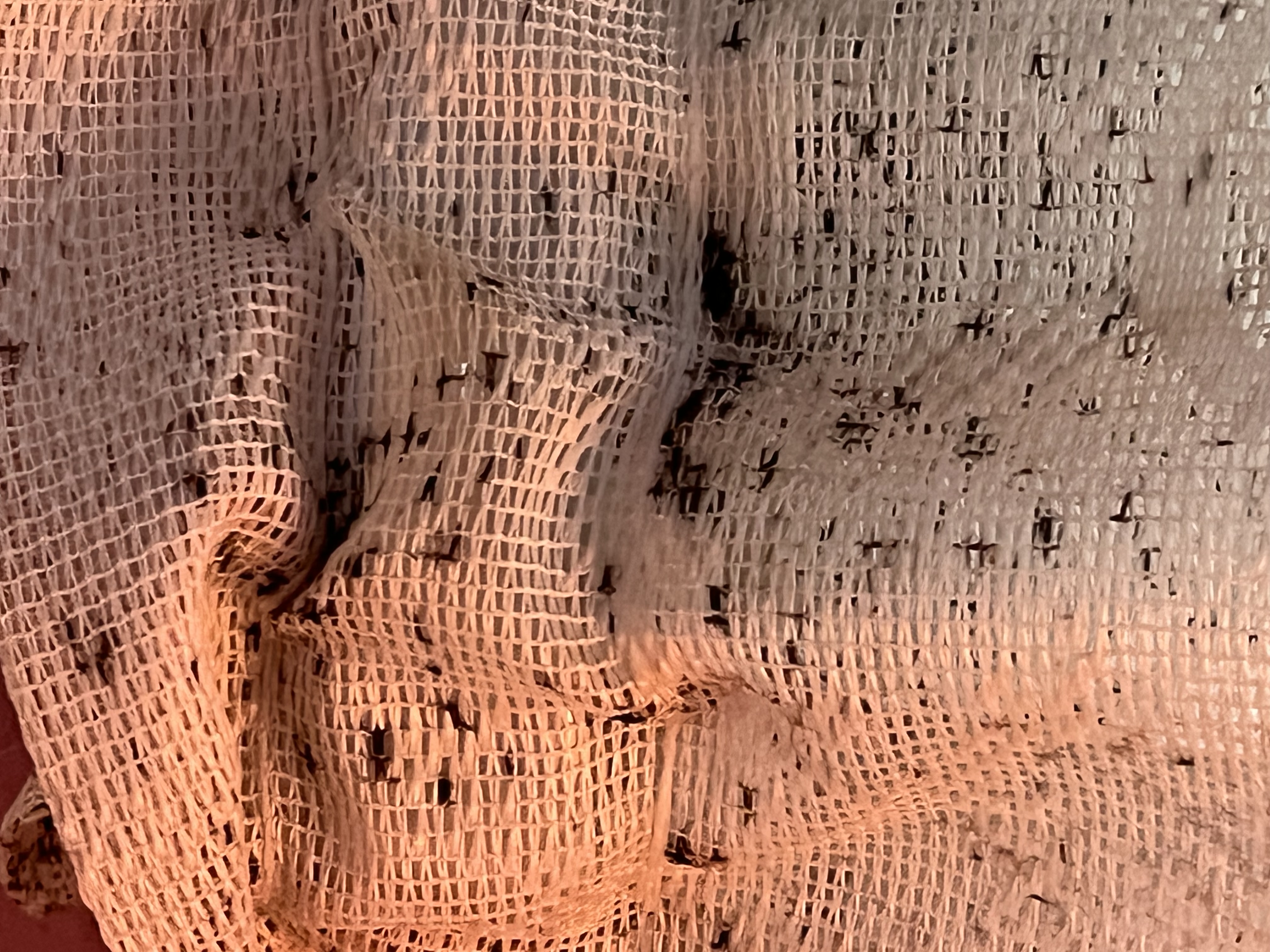 Bed bug service in Gallatin, TN photo 8