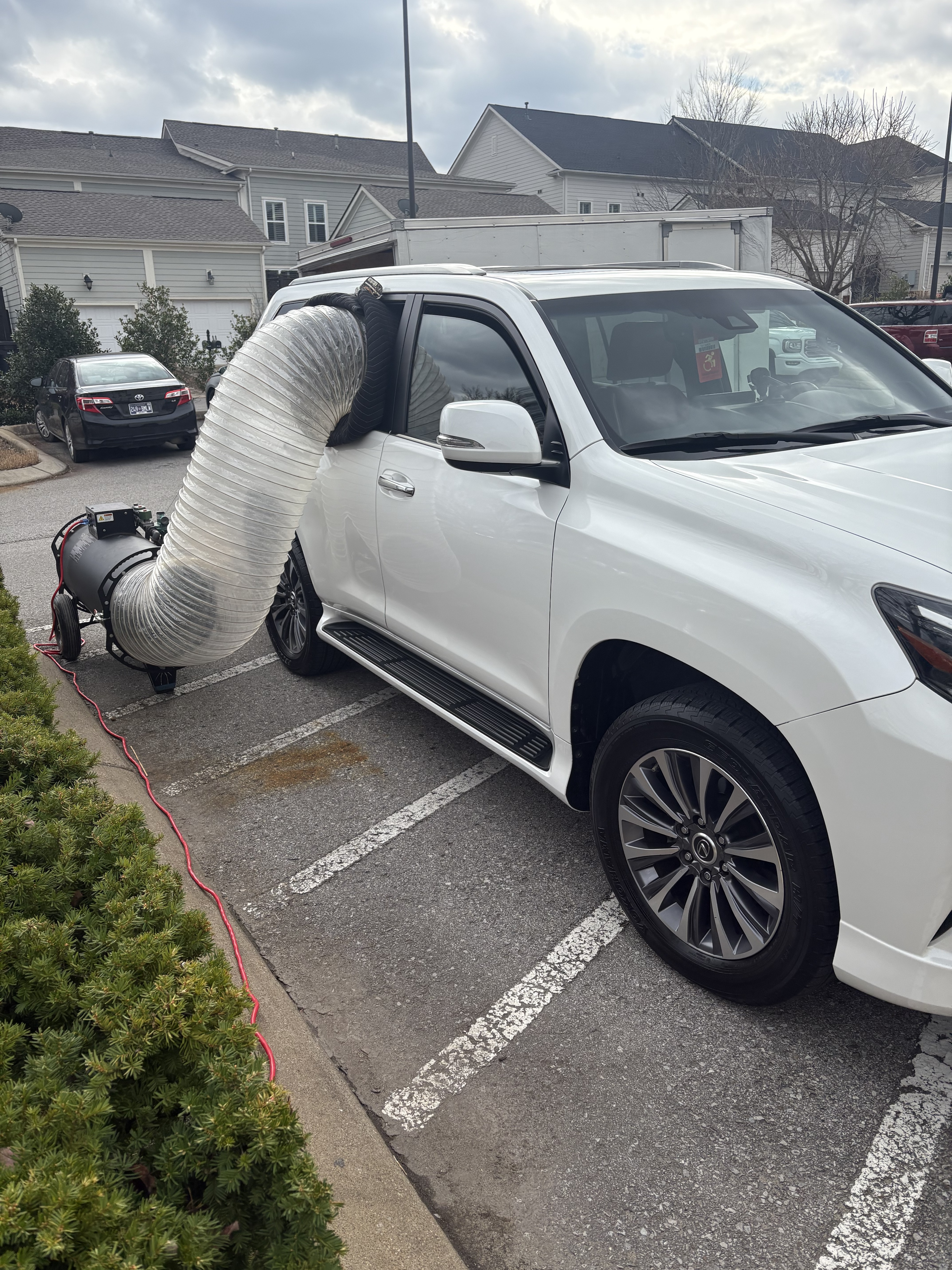 Bed bug service in Franklin, TN main photo