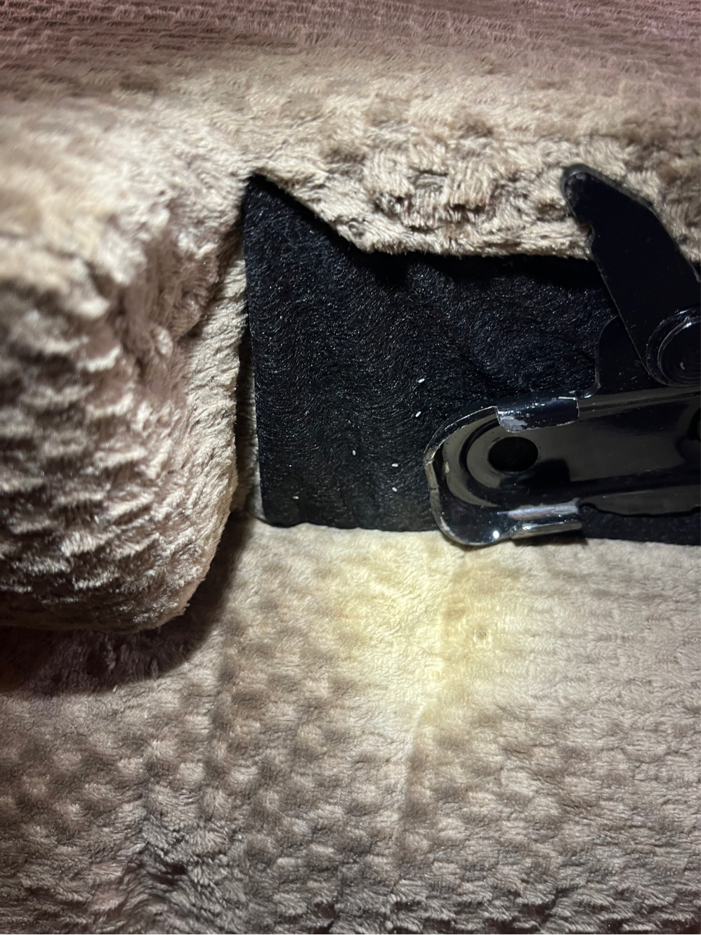 Bed bug service in Hendersonville, TN photo 2