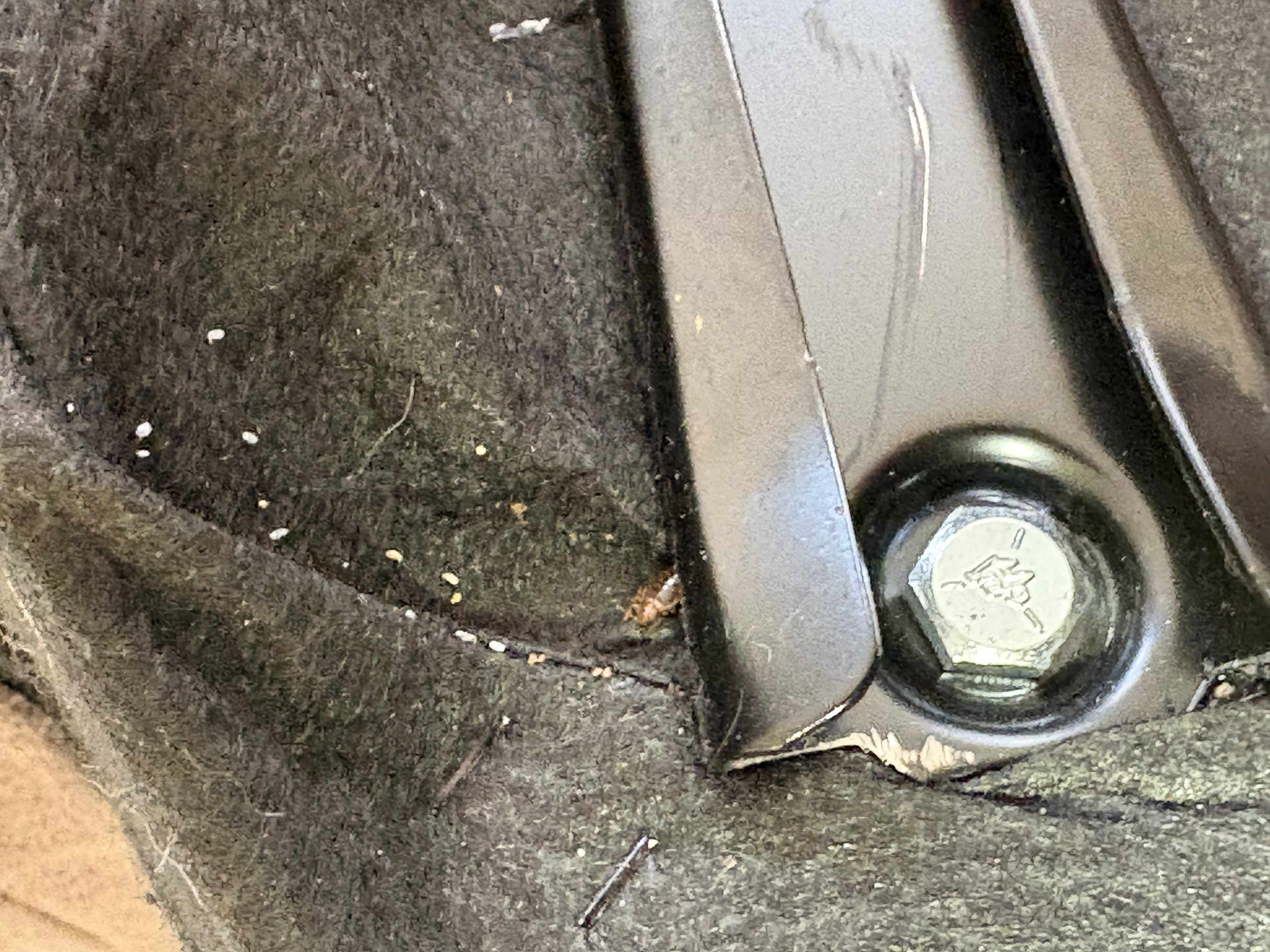 Bed bug service in Shelbyville, TN photo 7