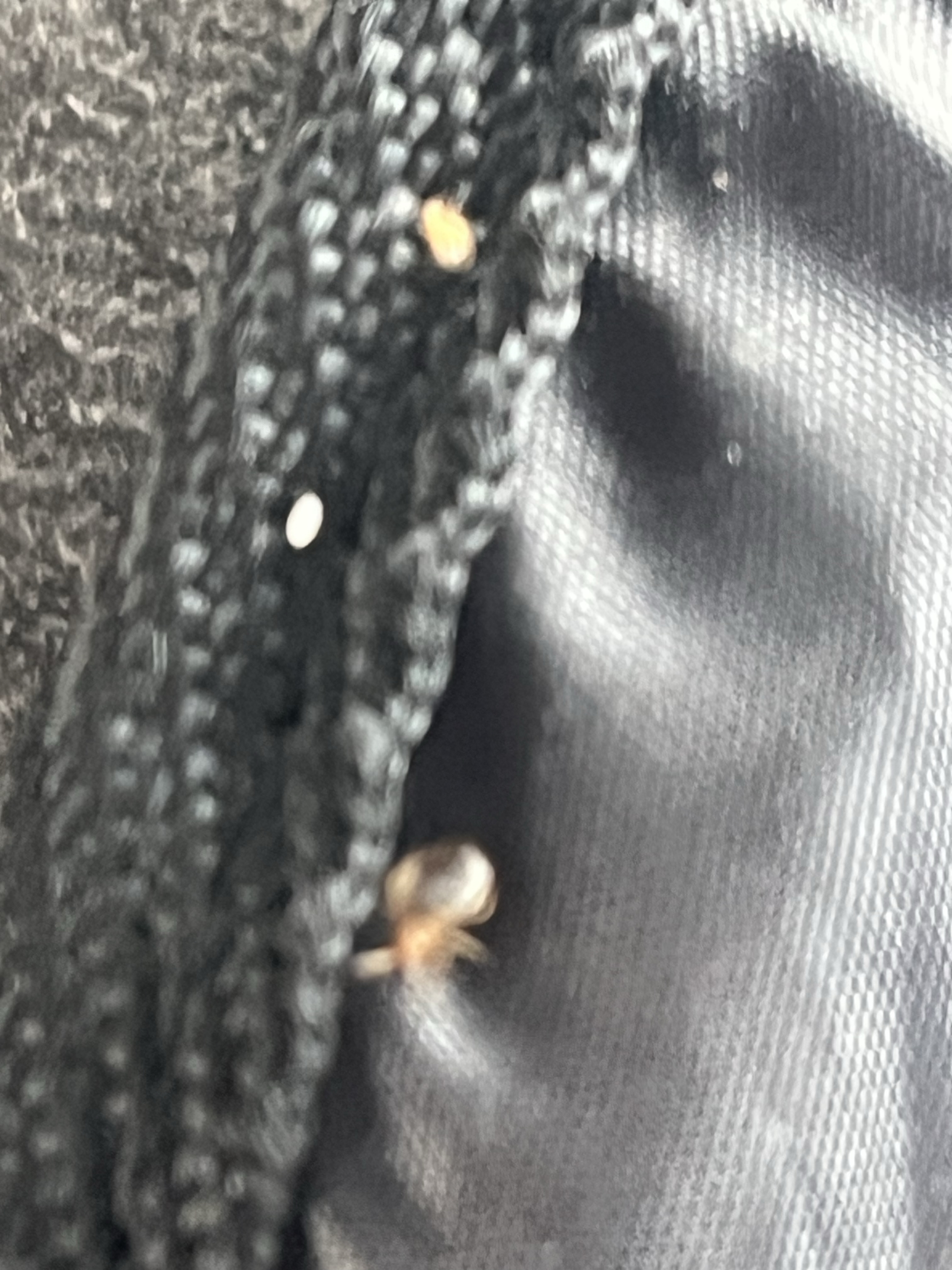 Bed bug service in La Vergne, TN photo 11