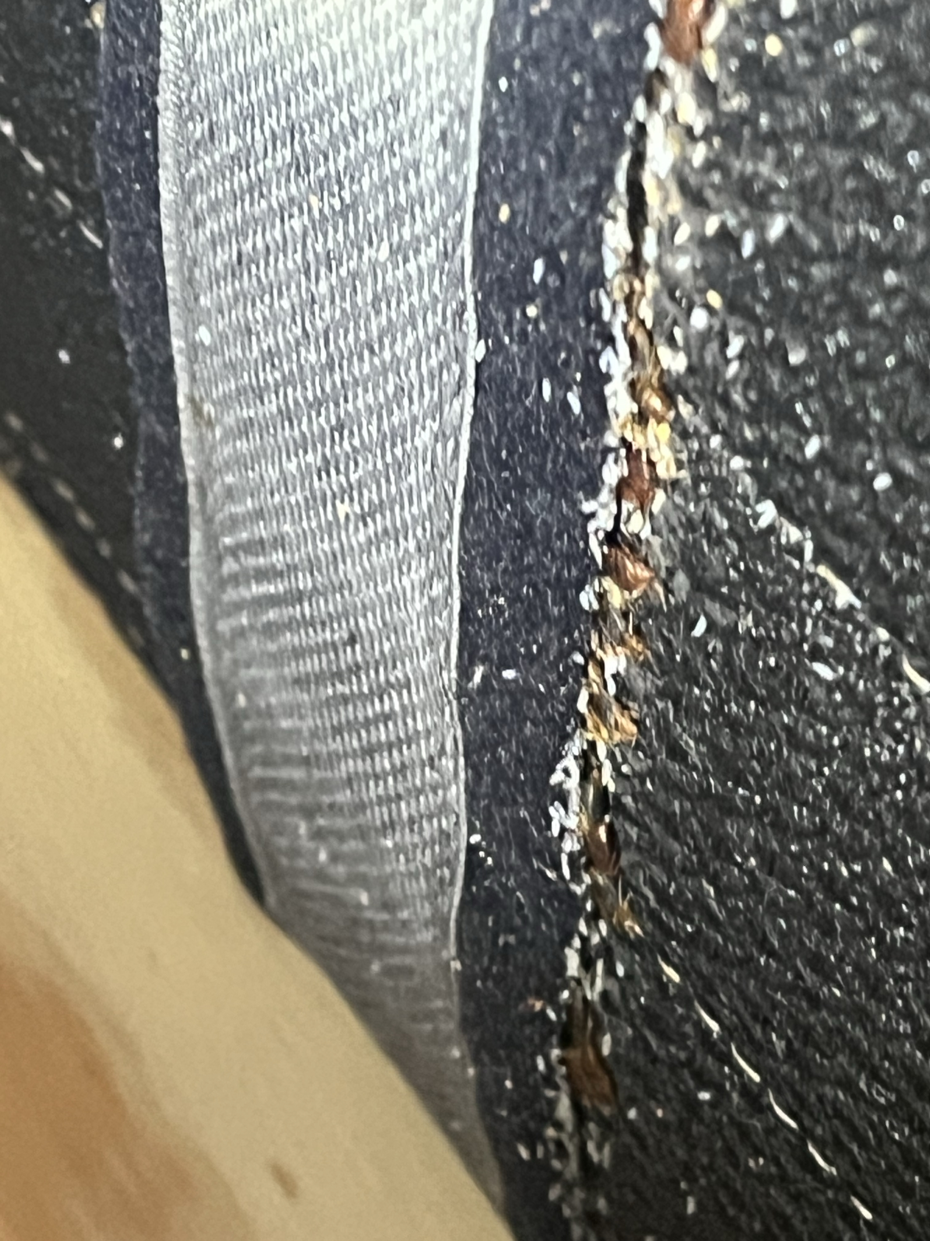 Bed bug service in La Vergne, TN photo 2