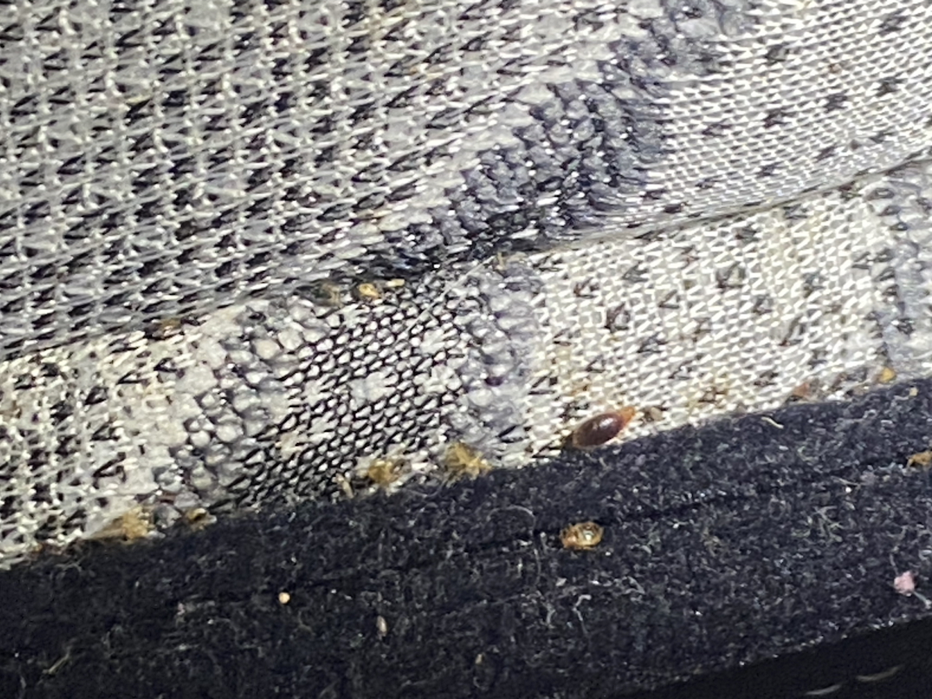 Bed bug service in La Vergne, TN photo 9