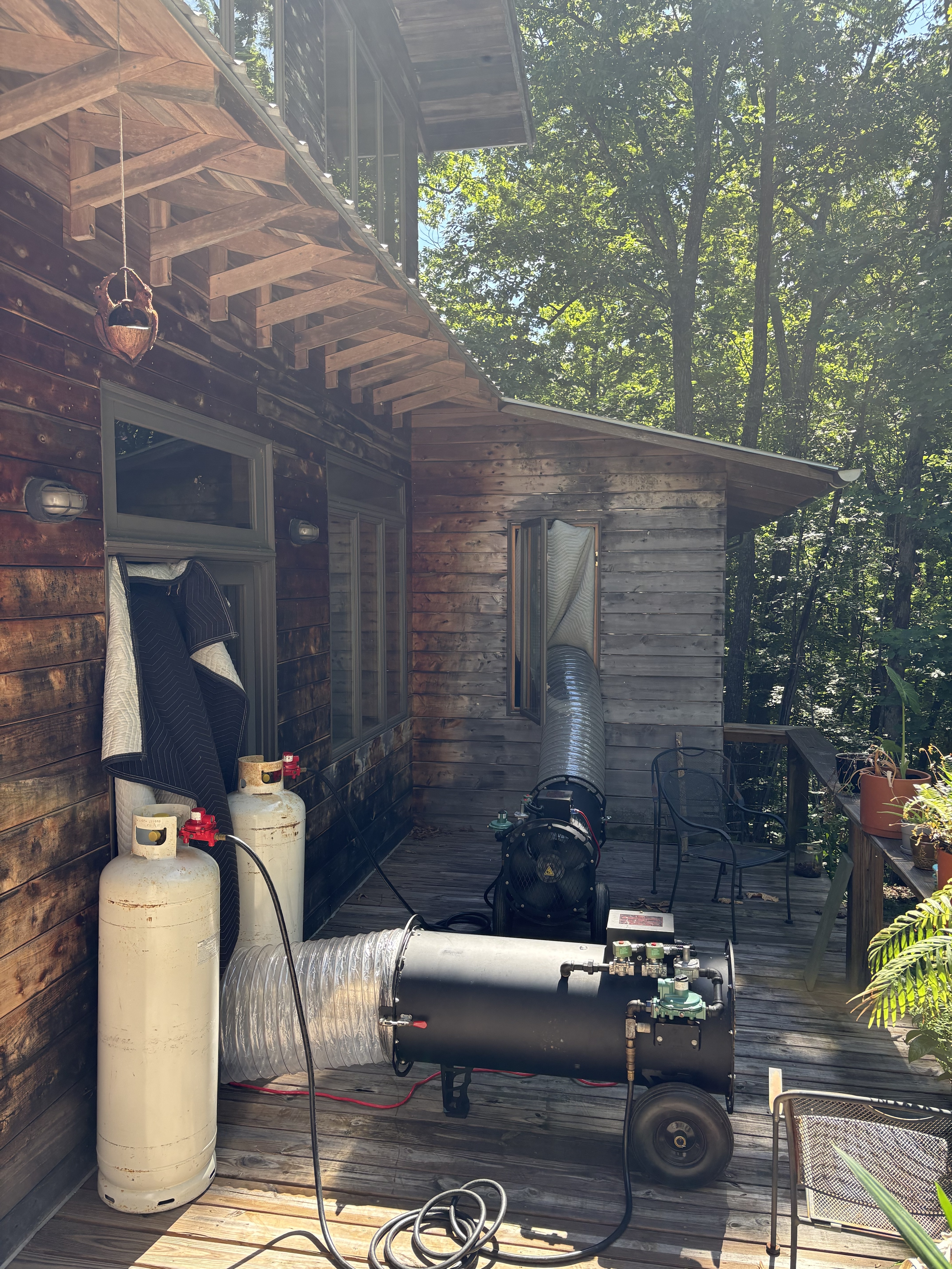 Bed bug service in Sewanee, TN photo 1