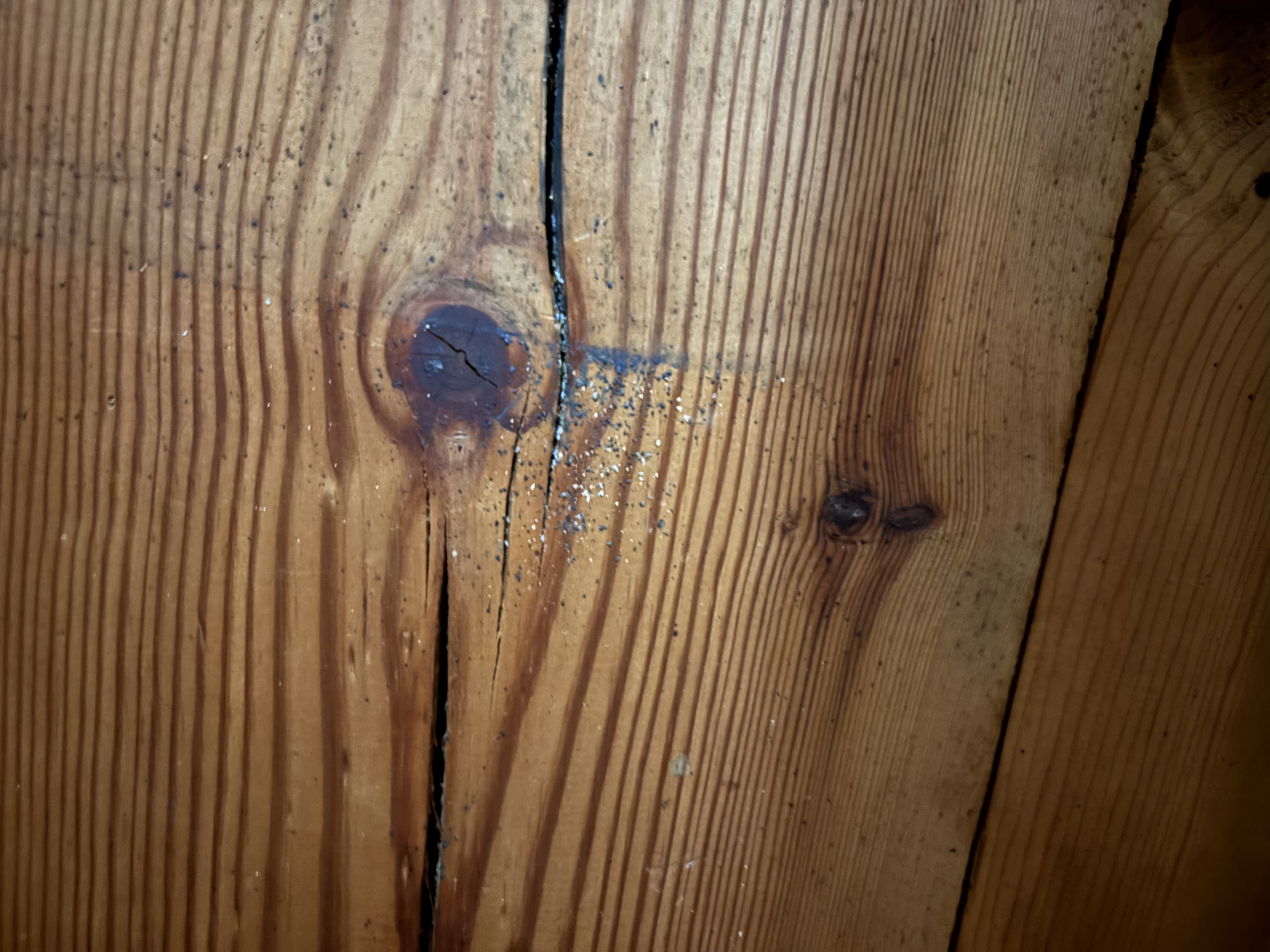 Bed bug service in Mt. Juliet, TN photo 1
