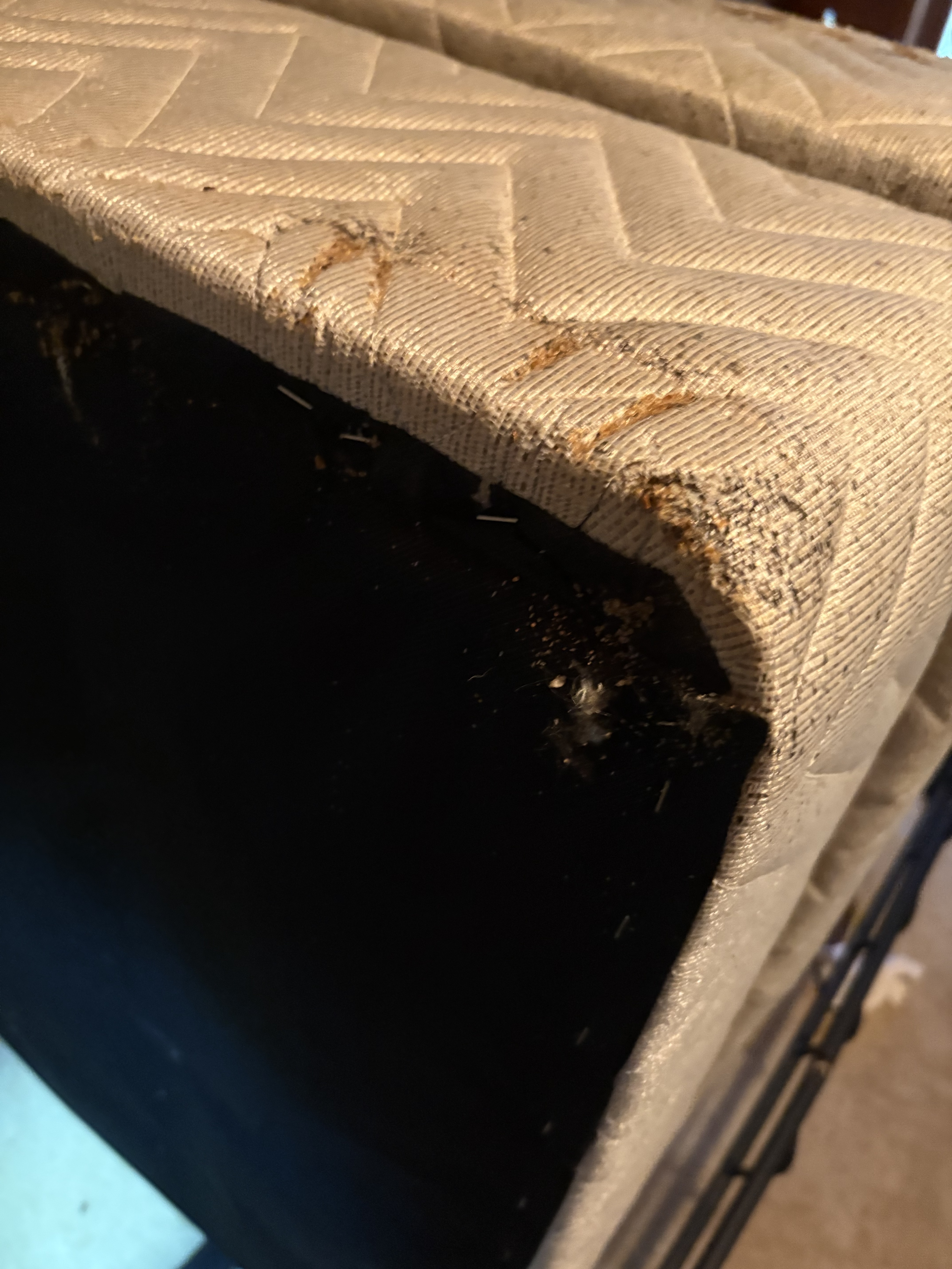 Bed bug service in Mt. Juliet, TN photo 6