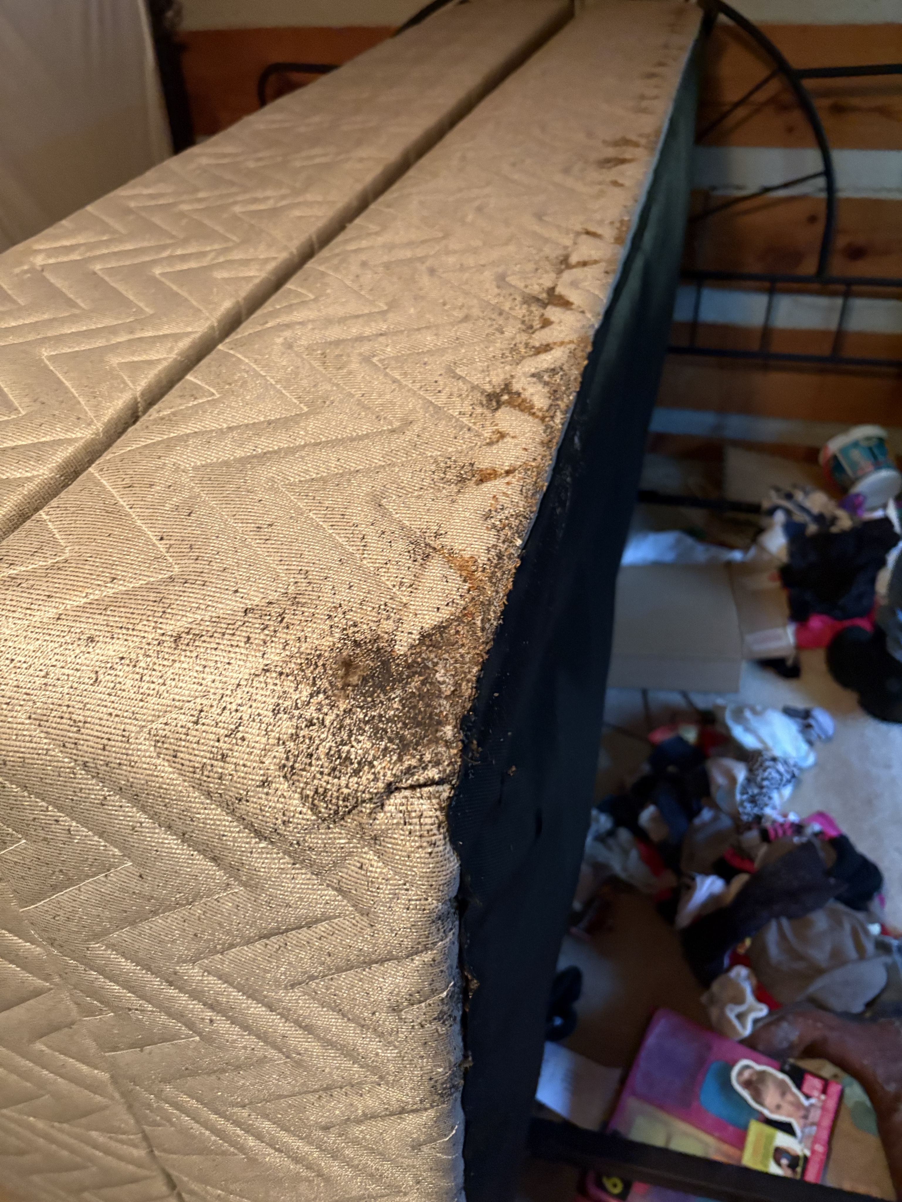 Bed bug service in Mt. Juliet, TN photo 8