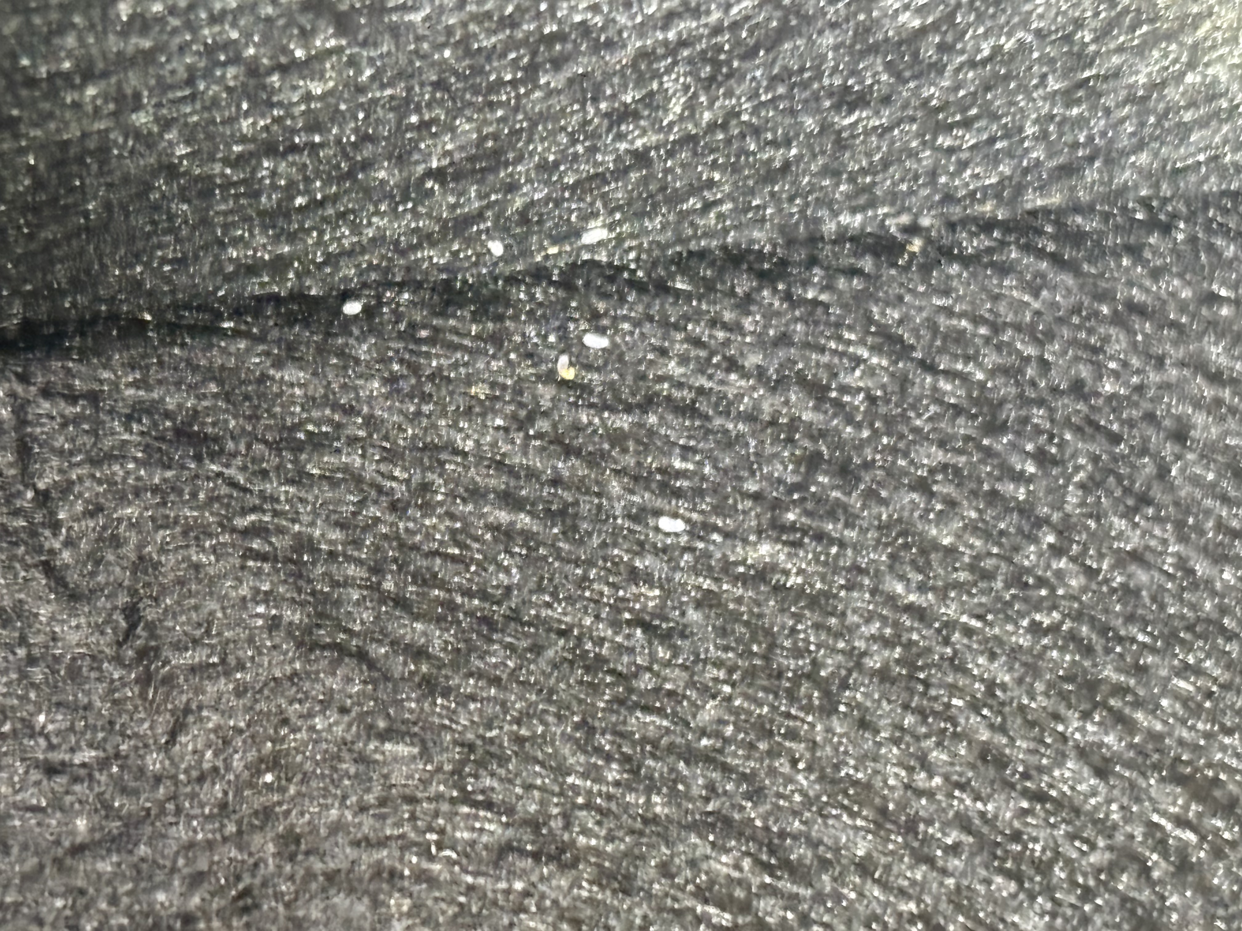 Bed bug service in Green Hill, TN photo 8